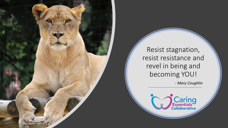 Blog Quote9-30-2019.jpg