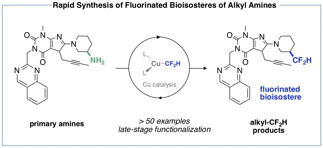 DIRECT DEAMINATIVE FUNCTIONALIZATION visual data 2
