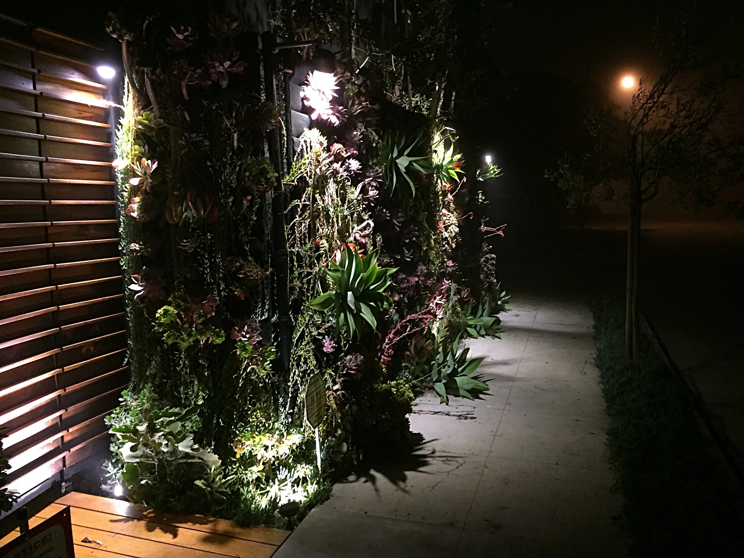 living wall.jpg
