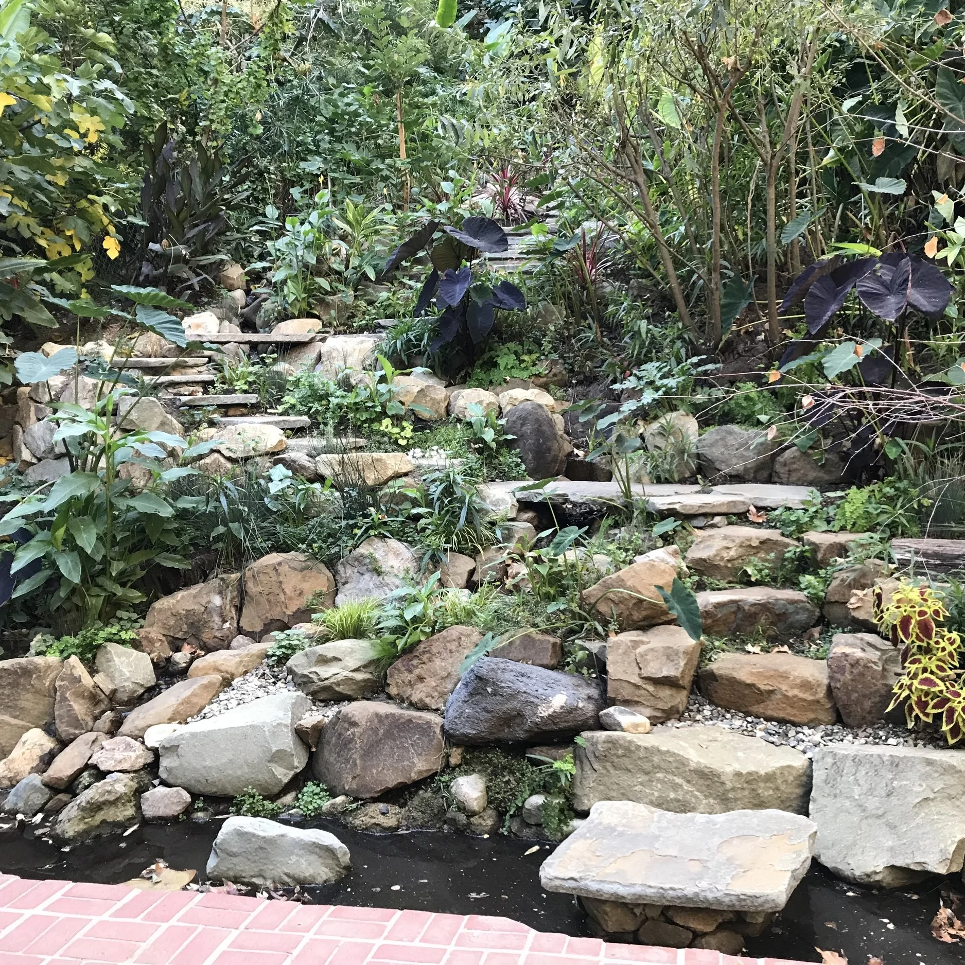 stream.jpg