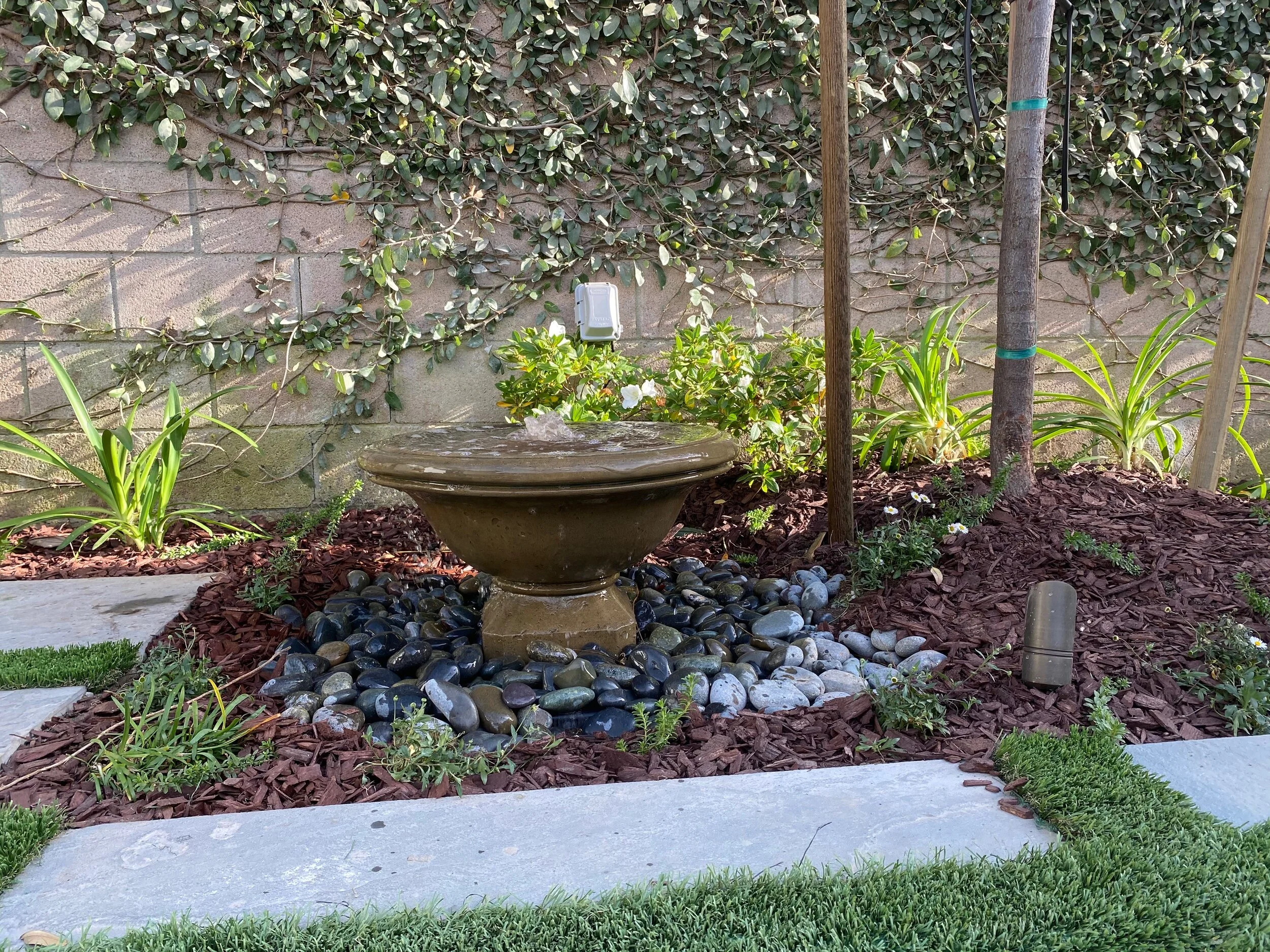 Dan wilson water element.JPG