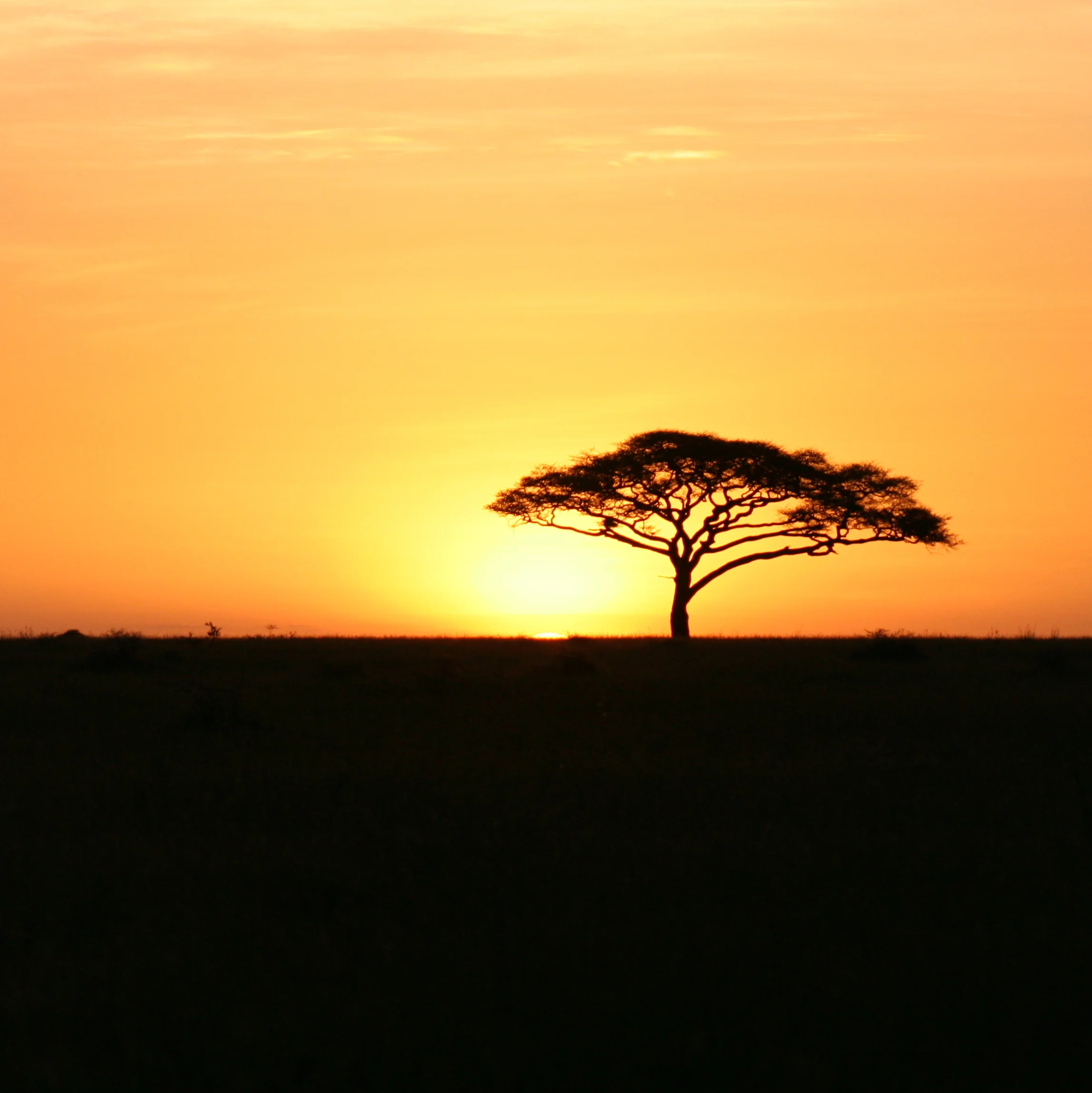 Sunrise.JPG