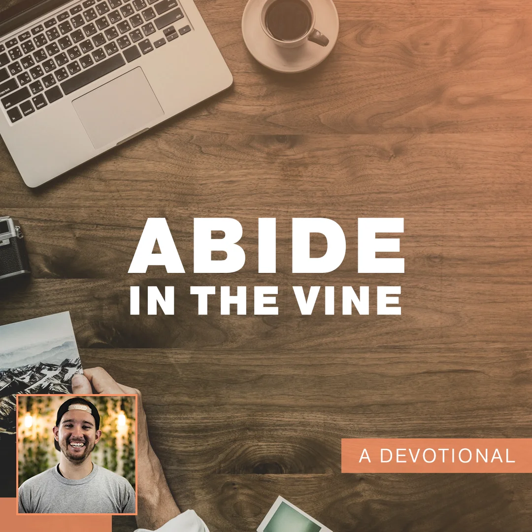 abide in the vine.jpg
