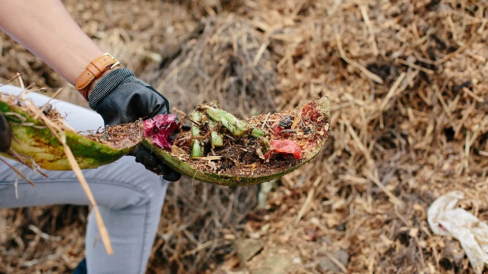 food waste-detroit dirt.jpg