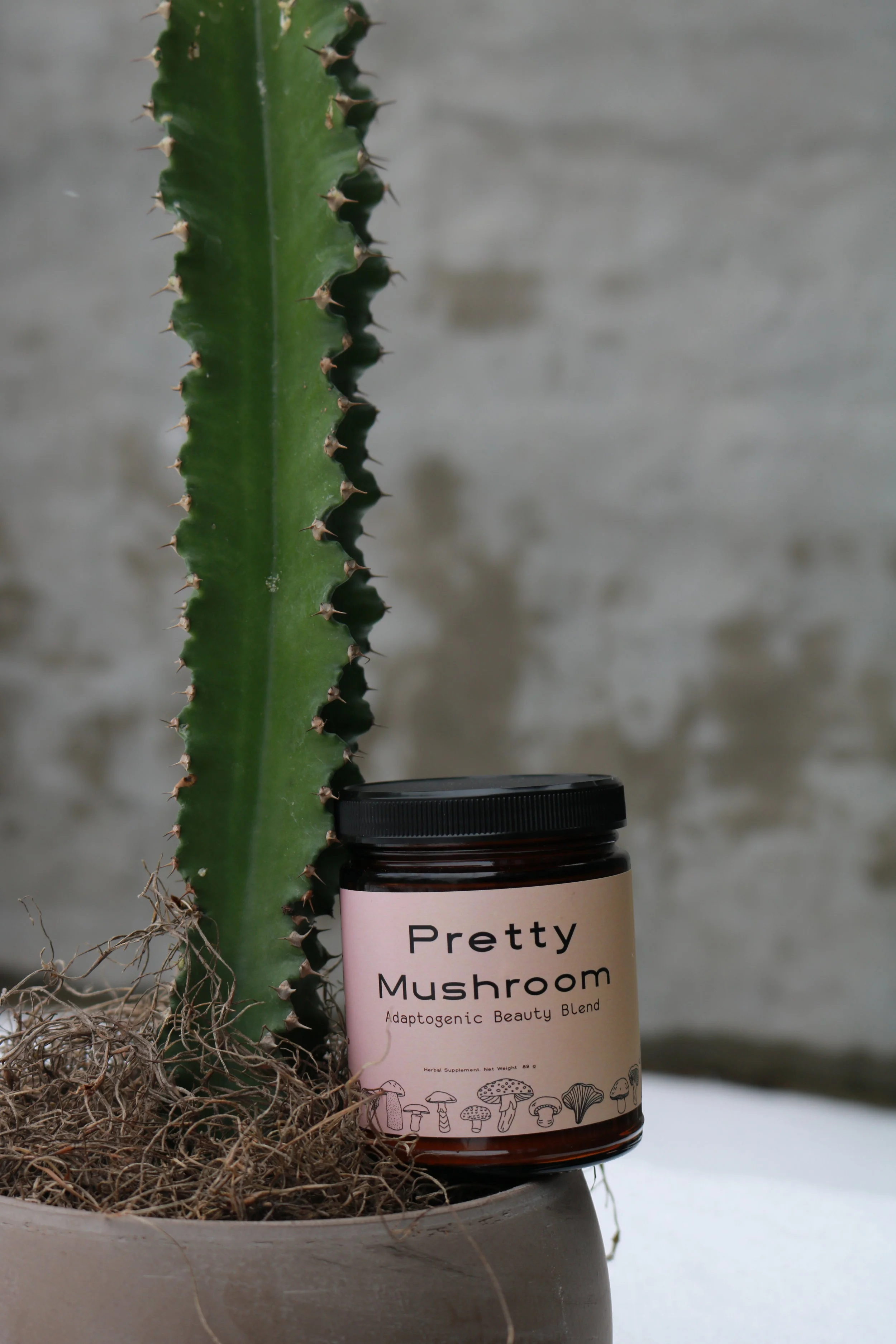 Pretty Mushroom: A Fun Brand That Makes Herbal Blends &amp; Holistic Tonics Using Potent Medicinal  Ingredients From Ancient Indigenous Cultures.