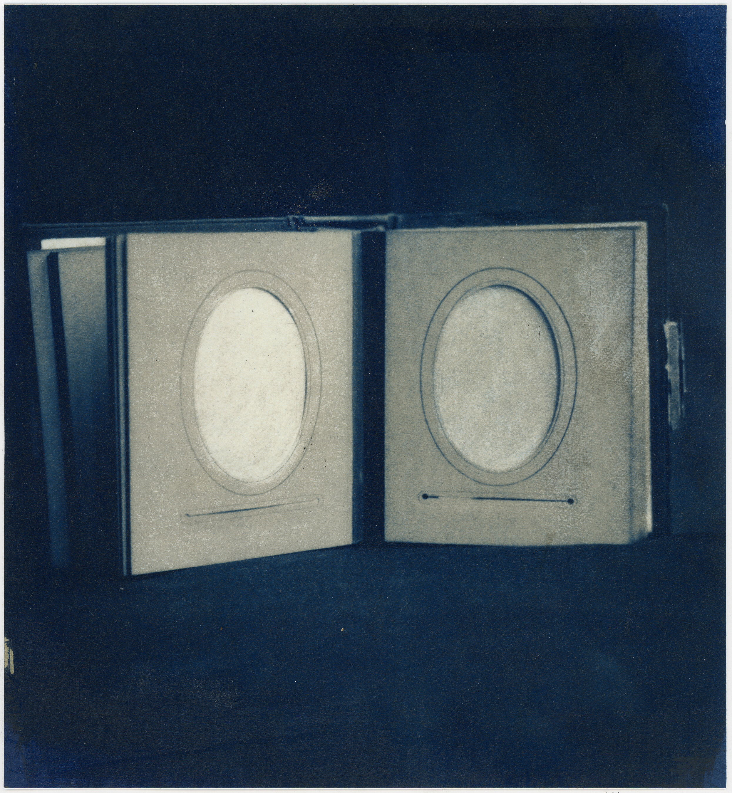  cyanotype &amp; gum bichromate 