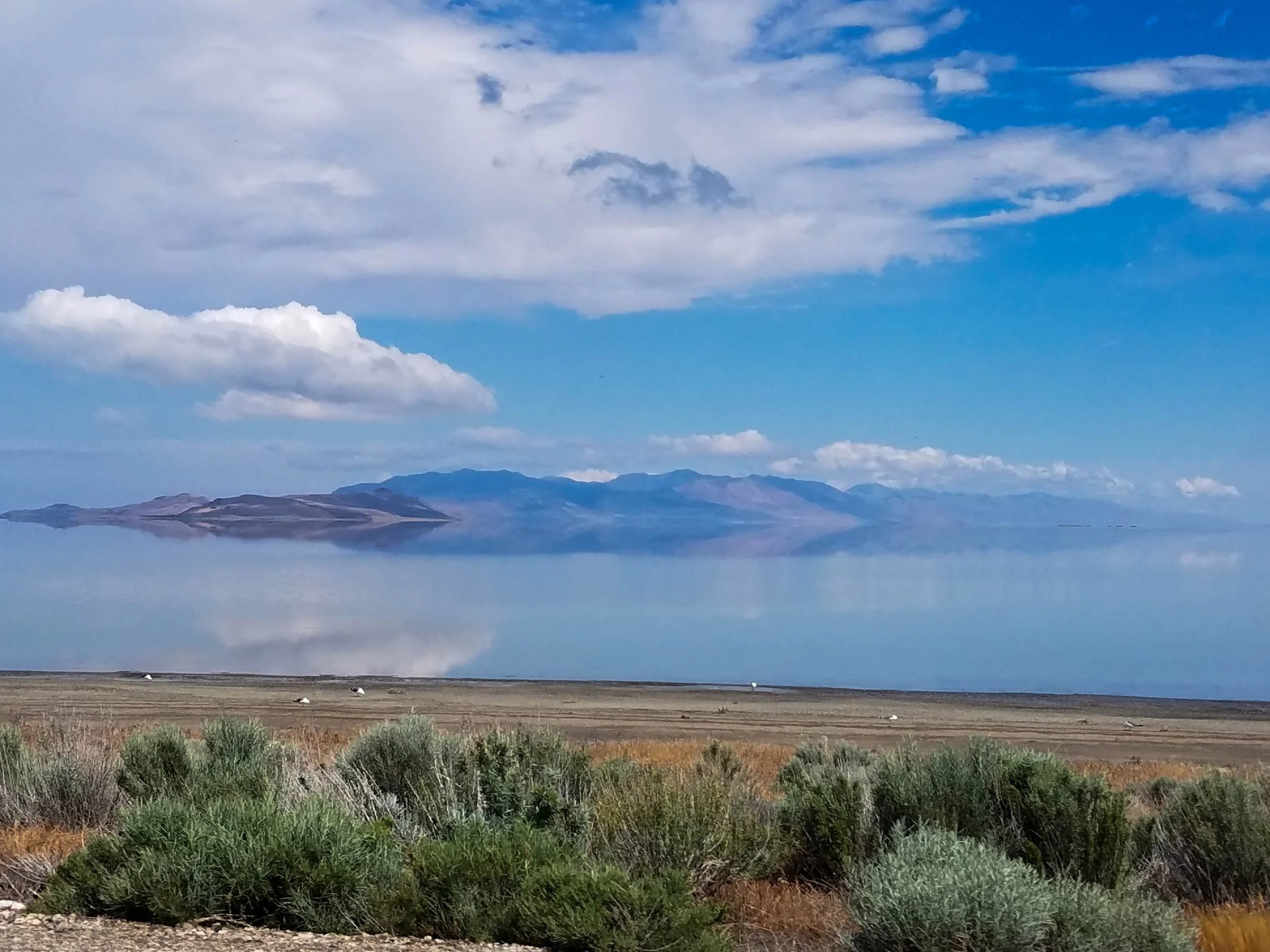 davis county spring break ideas