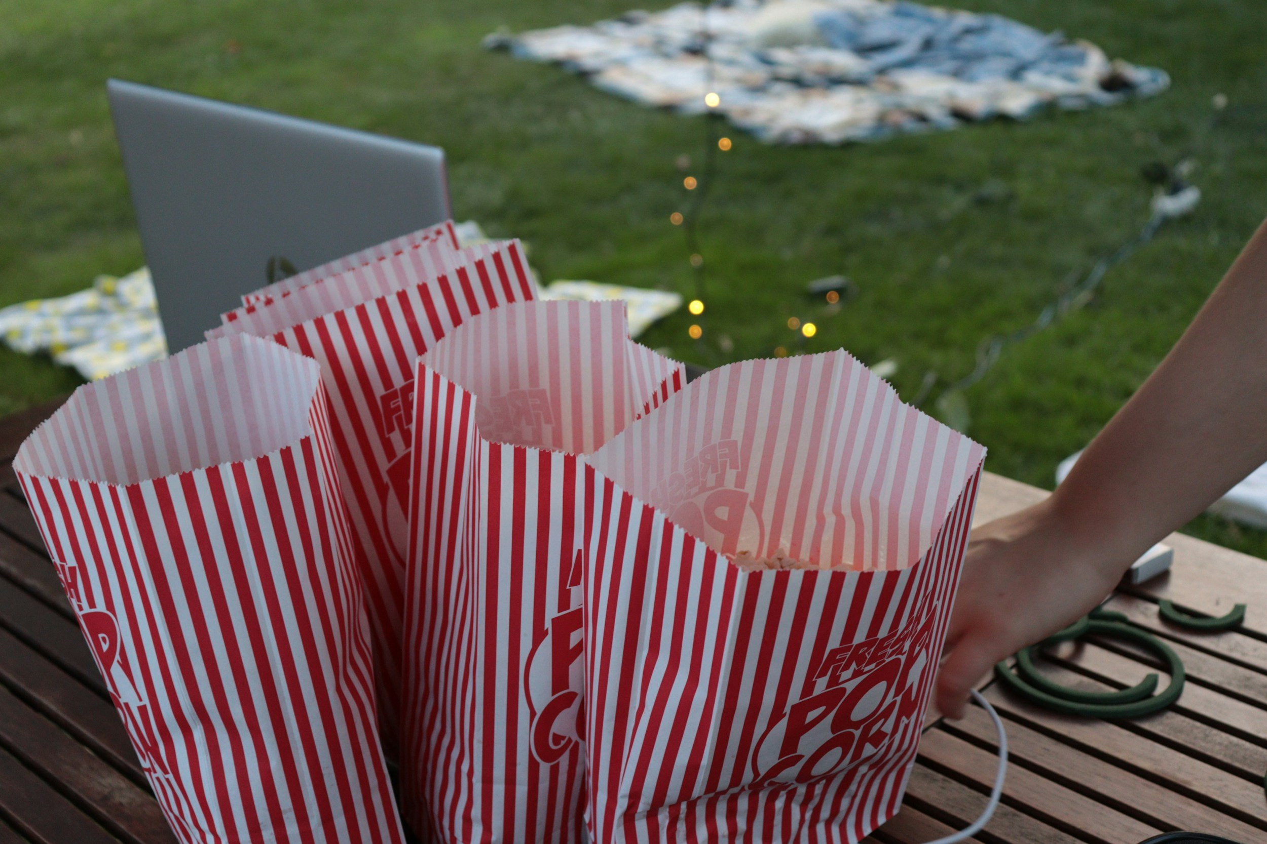 movies in the park davis county utah