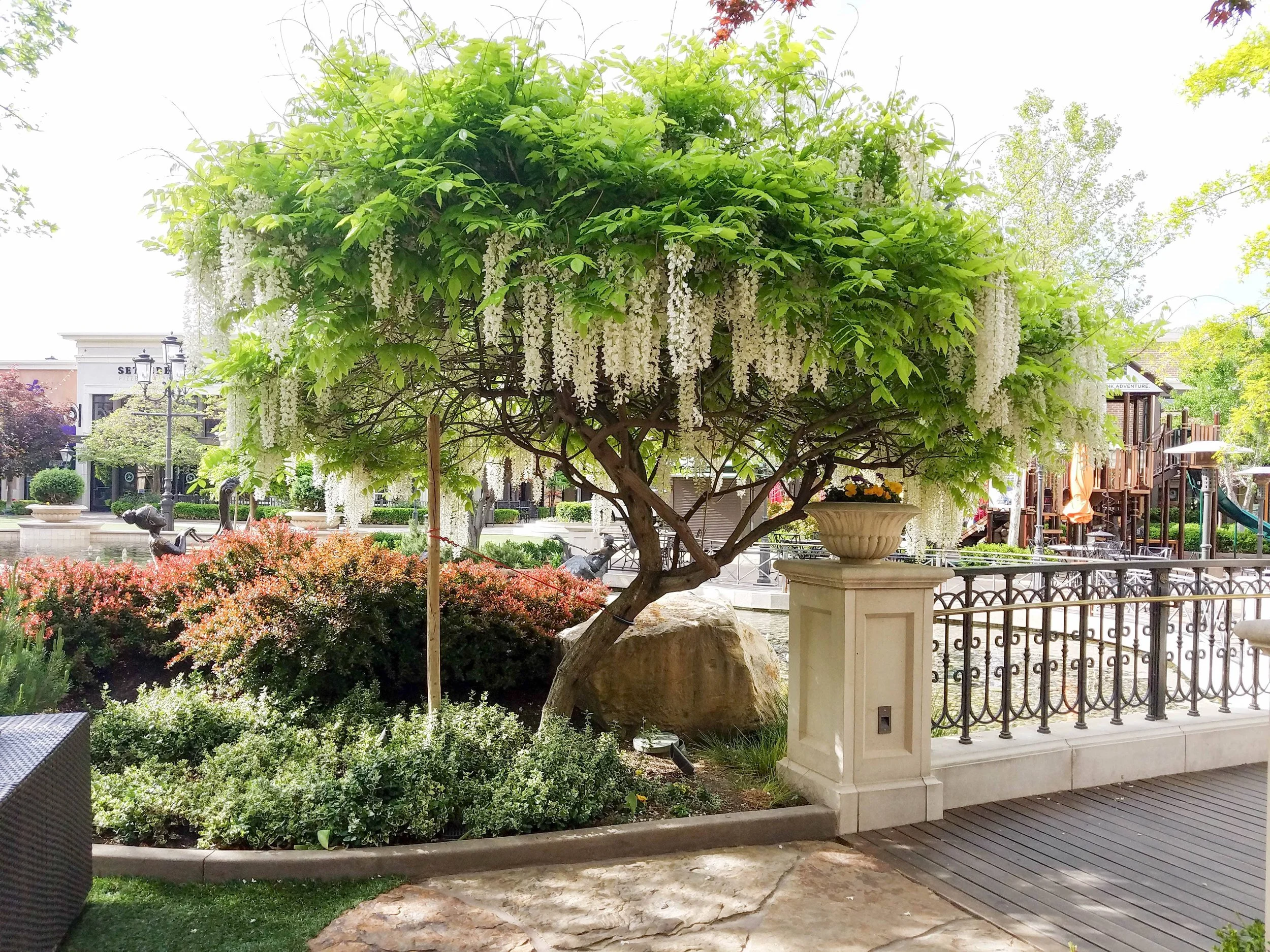 spring break ideas utah