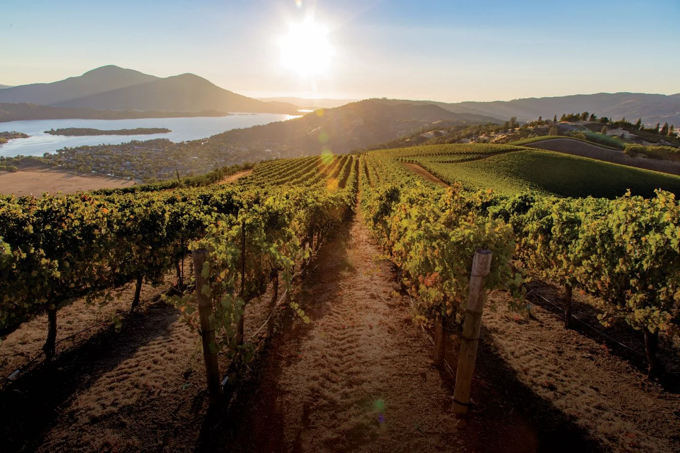 A view of Clear Lake and Mt. Konocti looking south from Brassfield Estate Winery in the High Valley AVA.