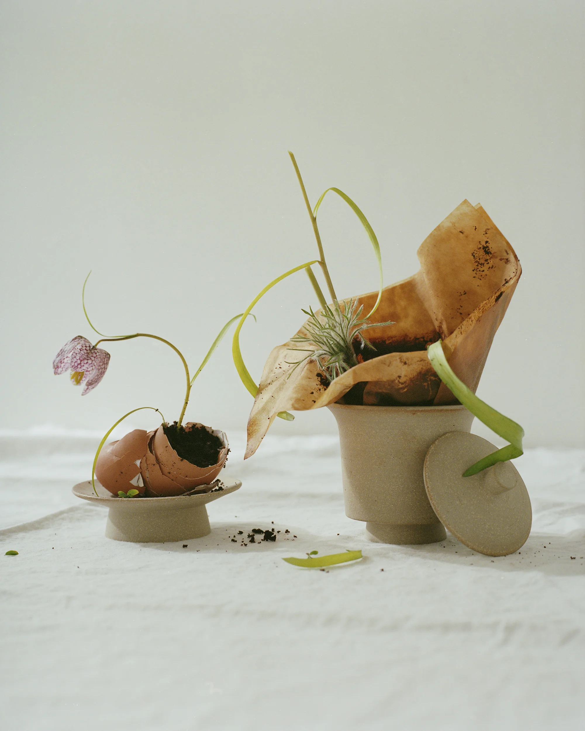 Nancy Kwon