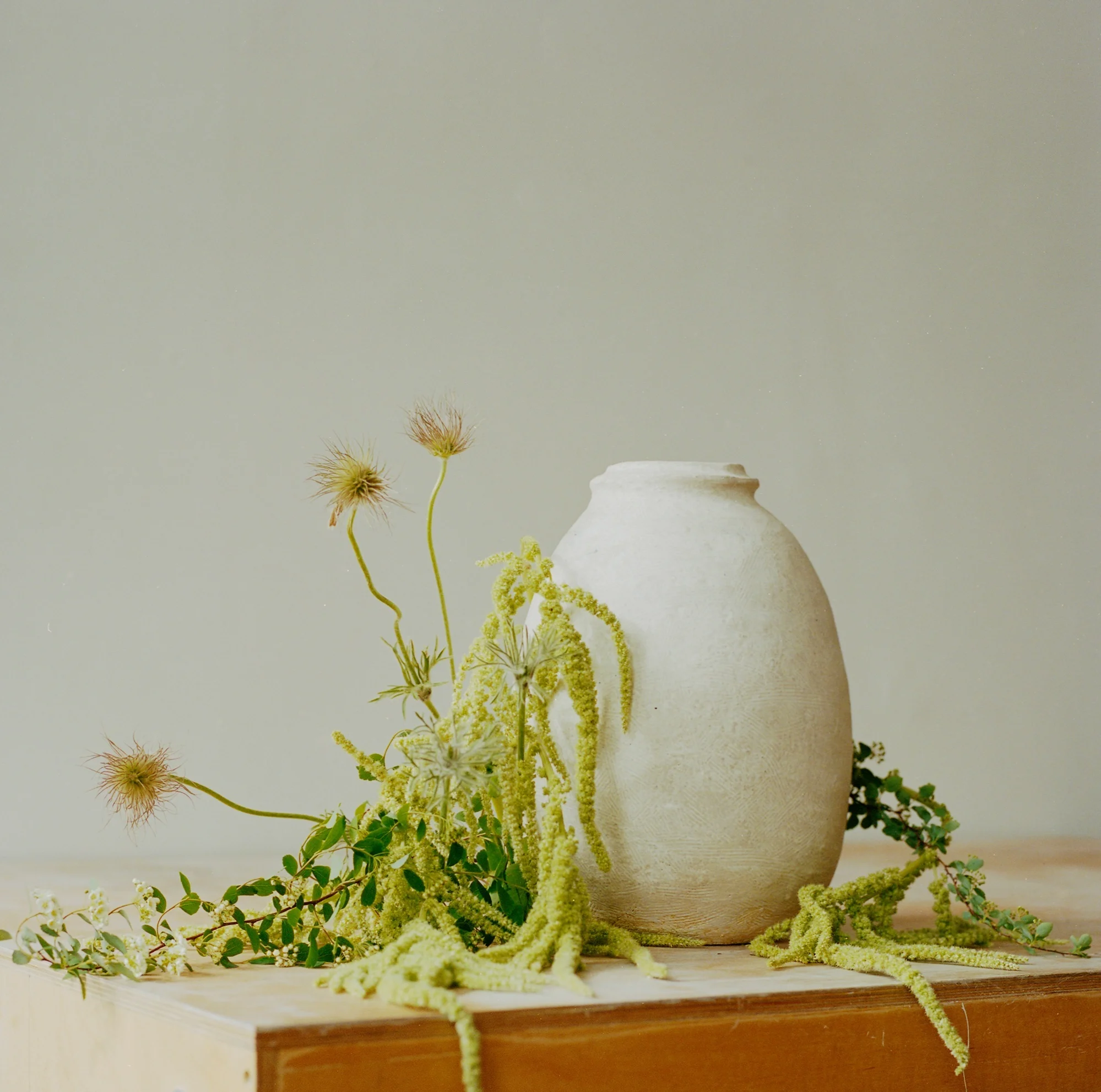 Nancy Kwon
