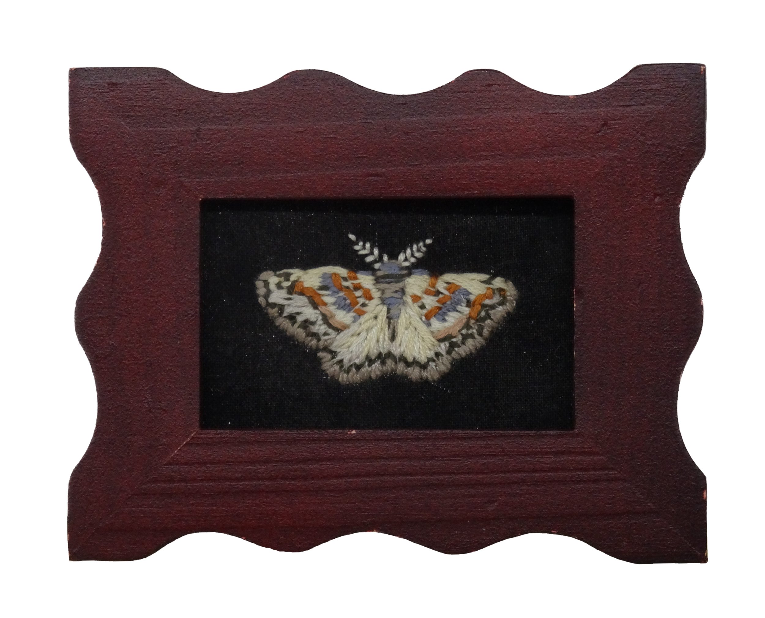 Bent-line Carpet Moth (Costaconvex centrostrigaria)