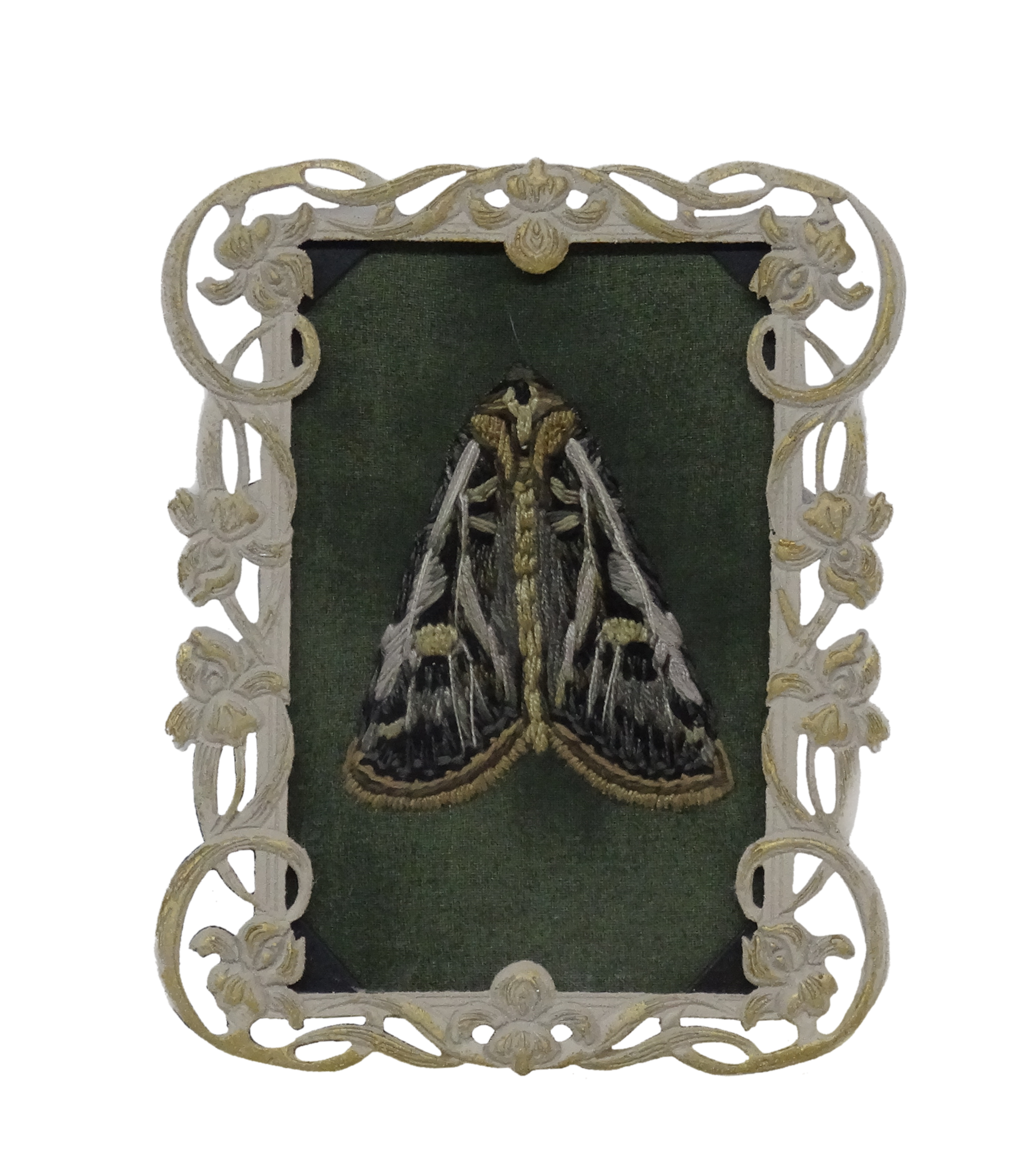 Dingy Cutworm Moth (Feltia jaculifera)