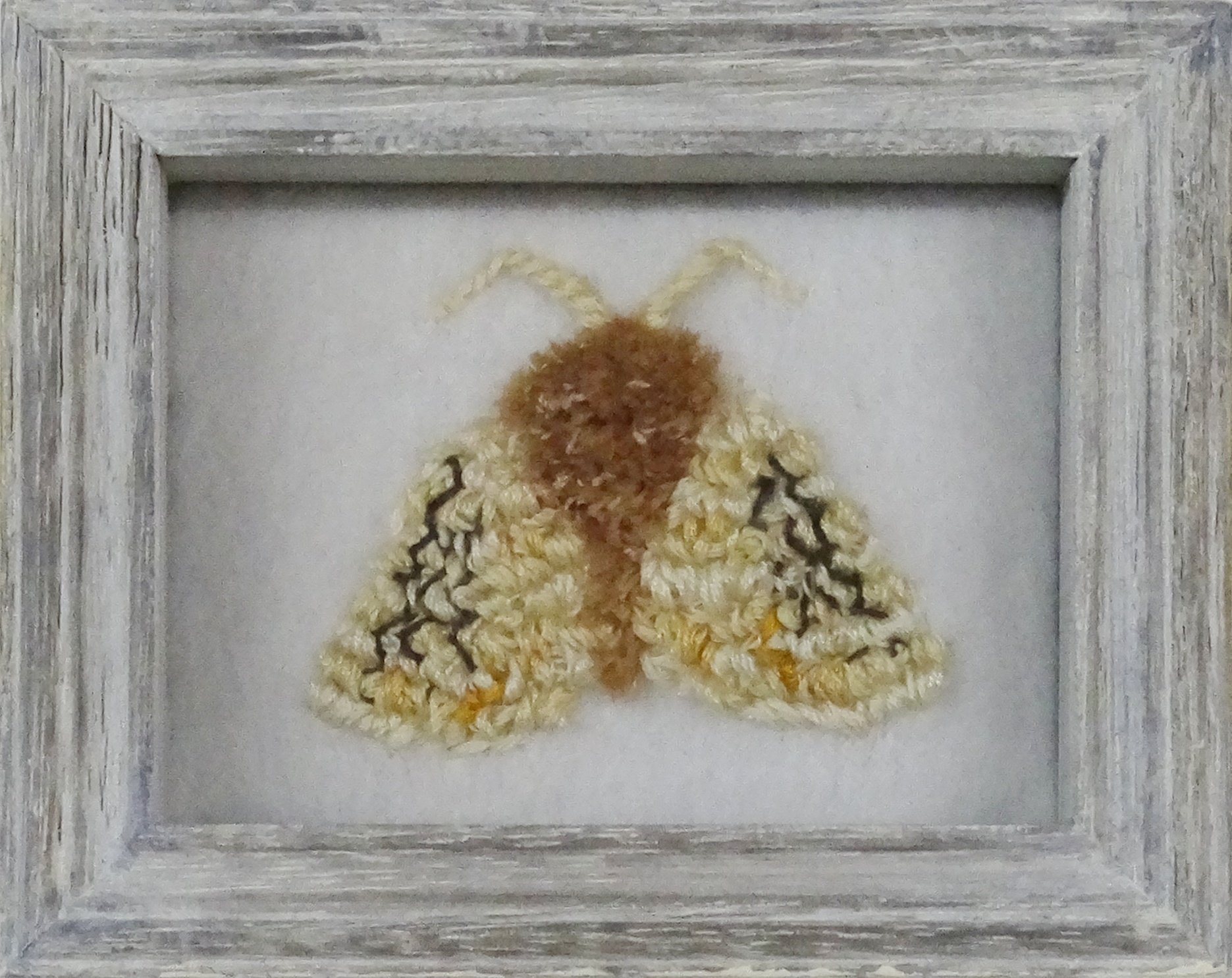 Black-waved Flannel Moth (Megalopyge crispata)