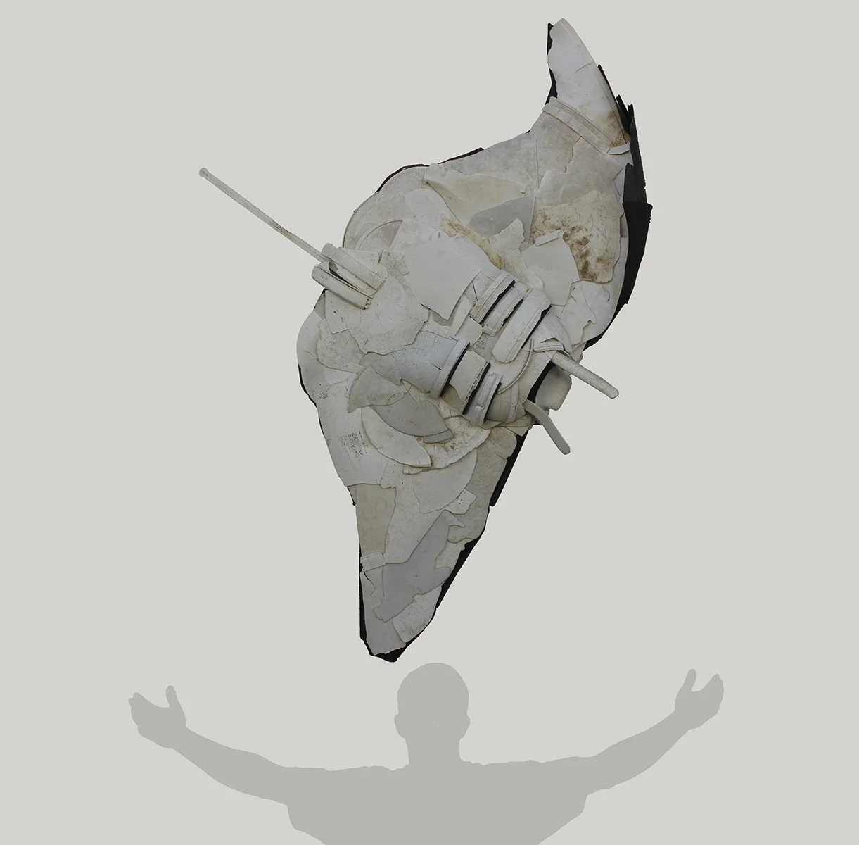 ray.jpg