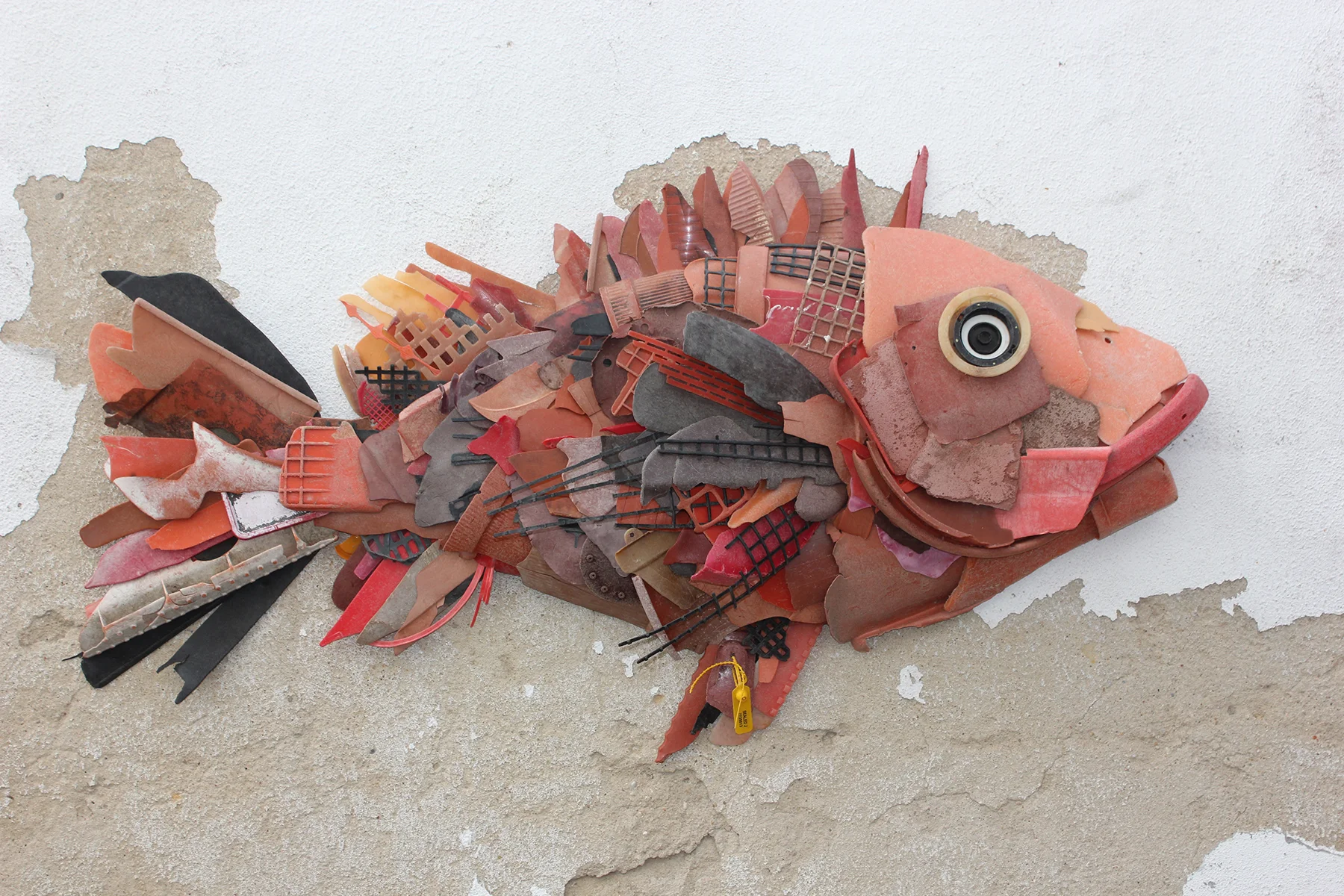 last of the mohicans_1.JPG