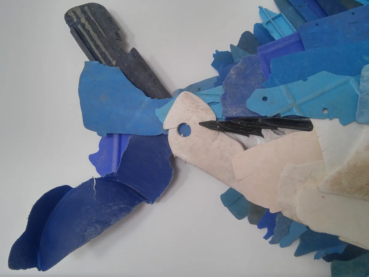 blue_3.jpg