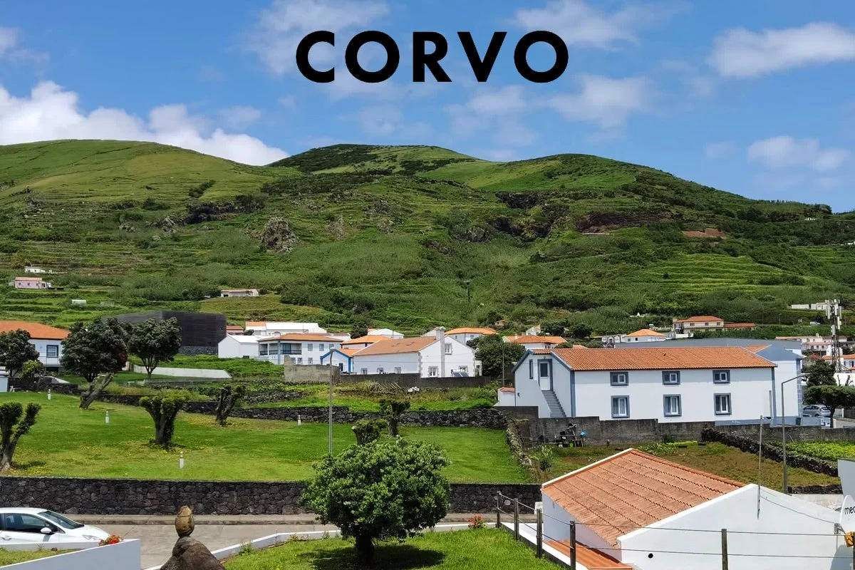 corvo.jpg