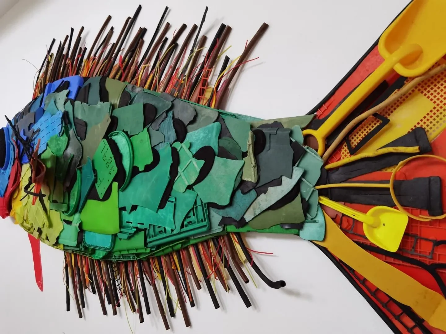 WhatsApp Image 2025-06-30 at 11.49.26 (2).jpeg