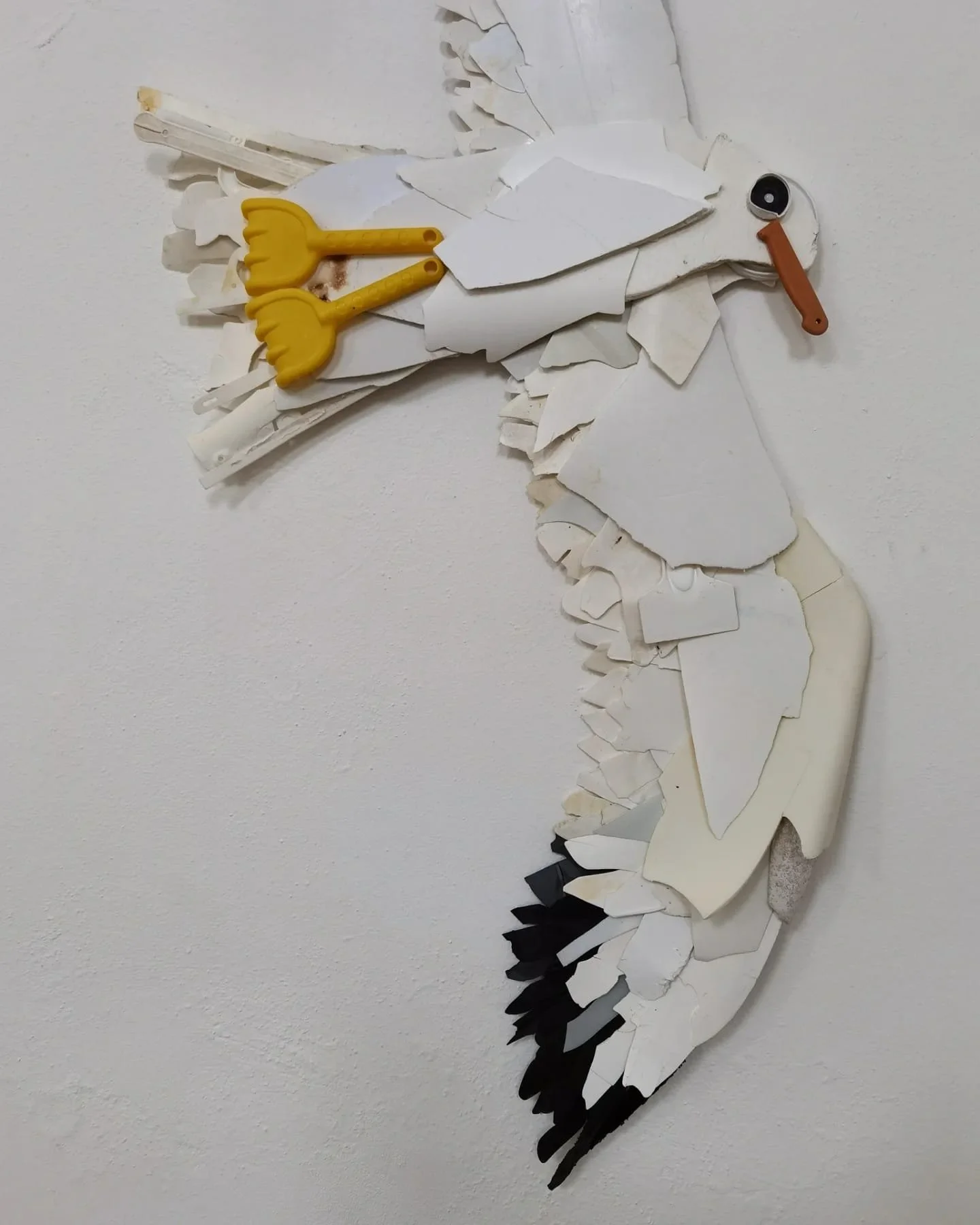 WhatsApp Image 2025-06-30 at 11.49.25 (6).jpeg