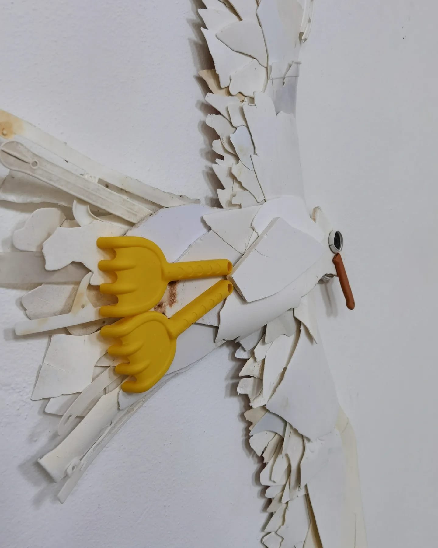 WhatsApp Image 2025-06-30 at 11.49.25 (8).jpeg