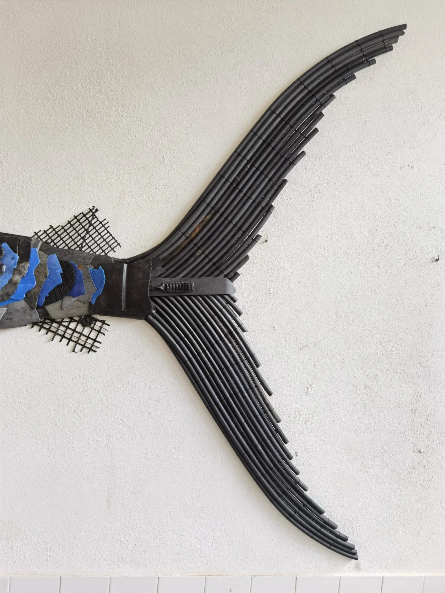 WhatsApp Image 2025-06-30 at 11.55.03 (6).jpeg