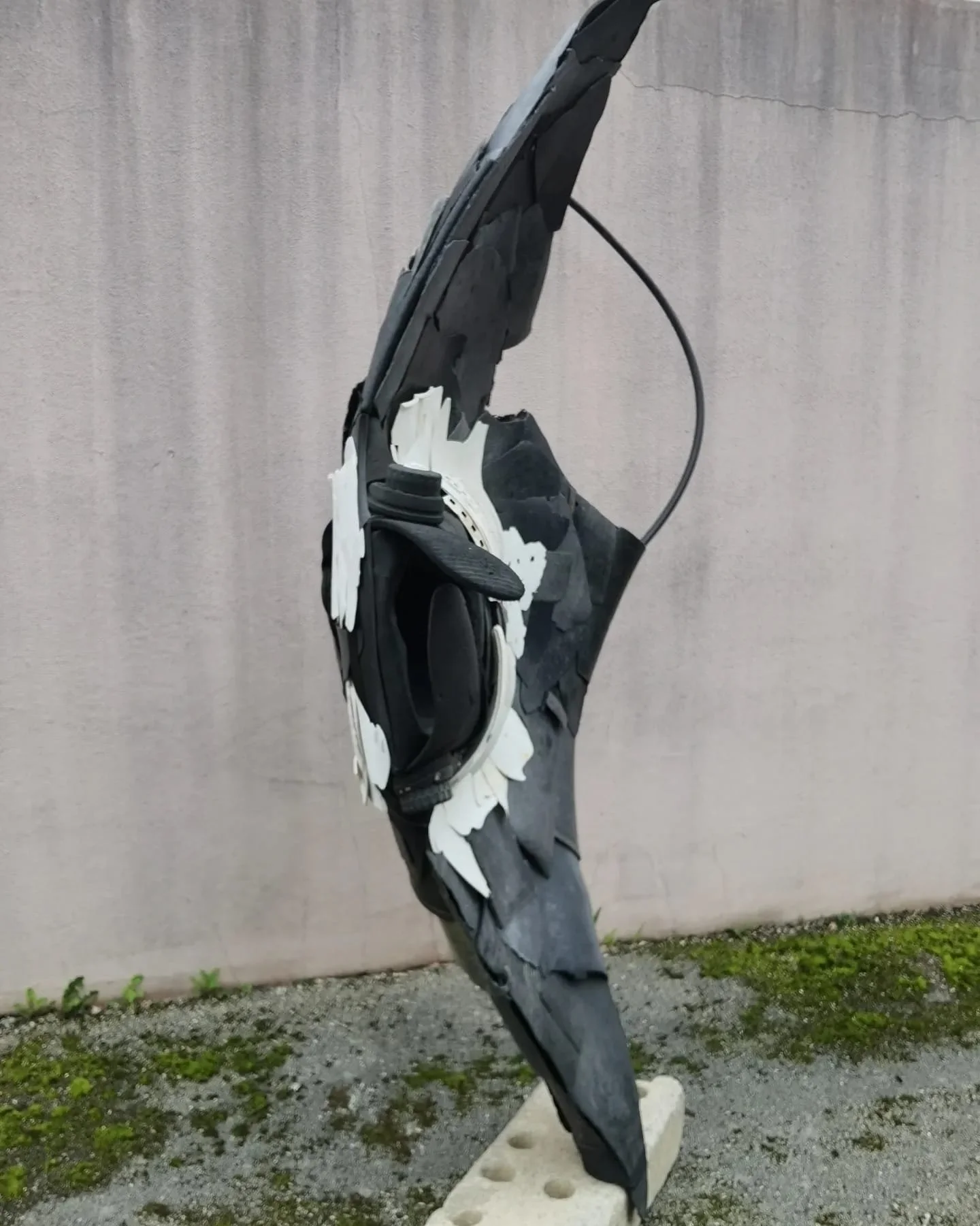 WhatsApp Image 2025-06-30 at 11.49.23 (1).jpeg