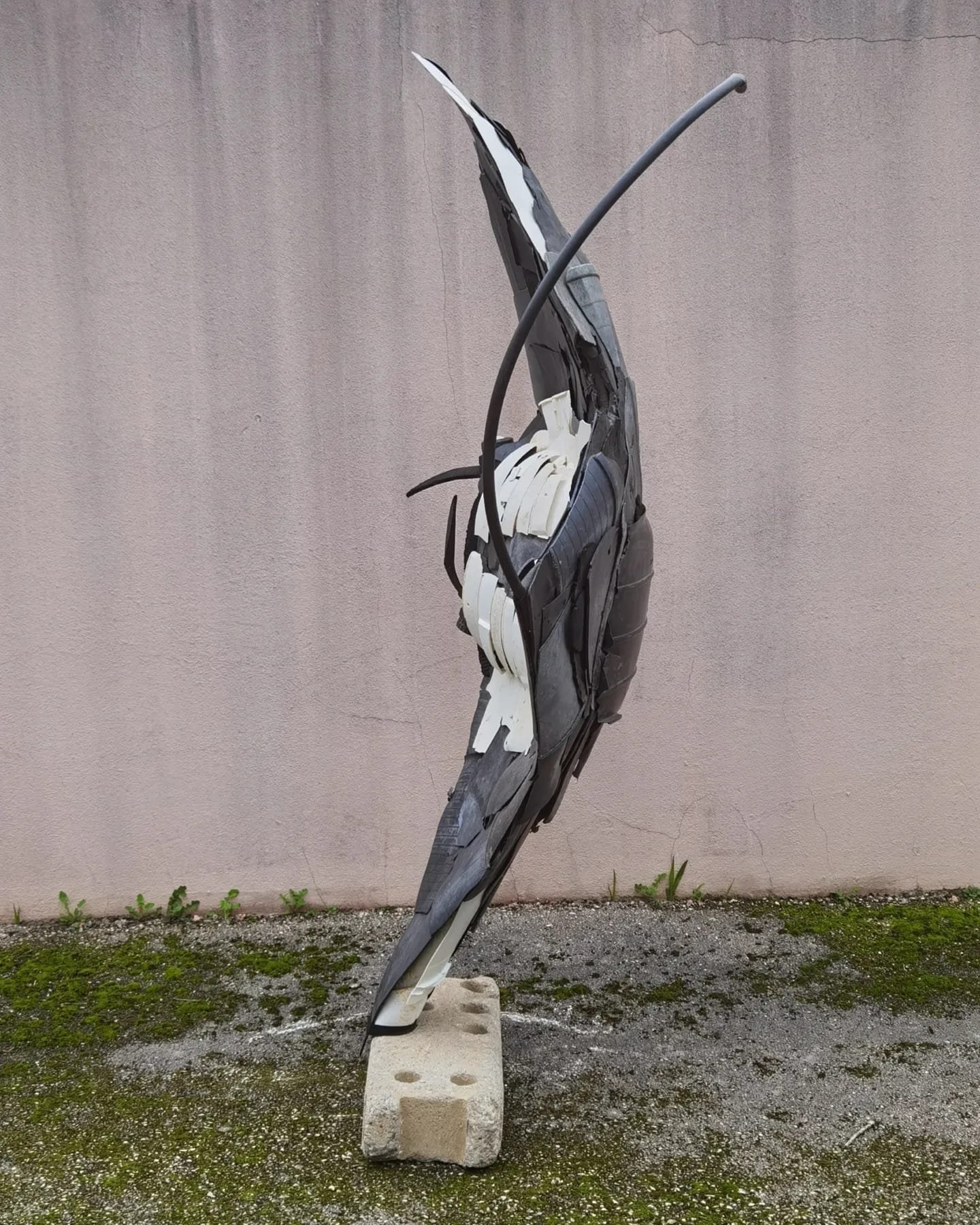 WhatsApp Image 2025-06-30 at 11.49.23 (3).jpeg