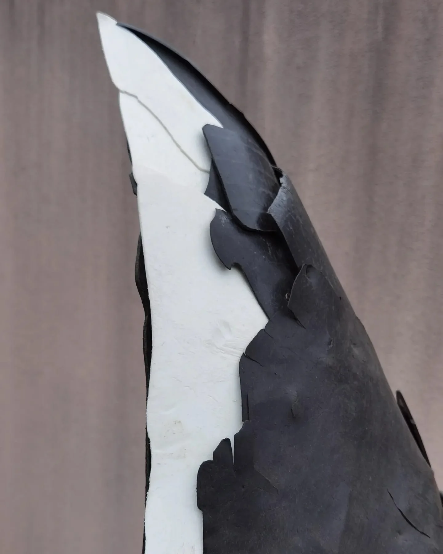 WhatsApp Image 2025-06-30 at 11.49.22 (7).jpeg