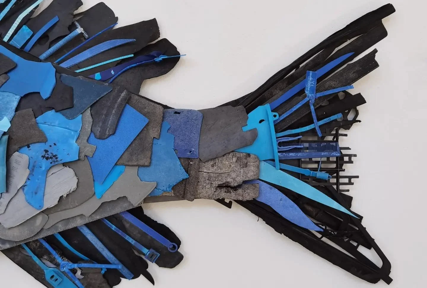 WhatsApp Image 2025-06-30 at 11.49.19.jpeg