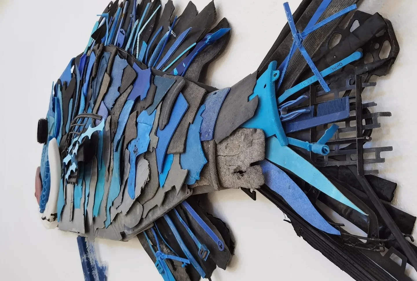 WhatsApp Image 2025-06-30 at 11.49.18.jpeg