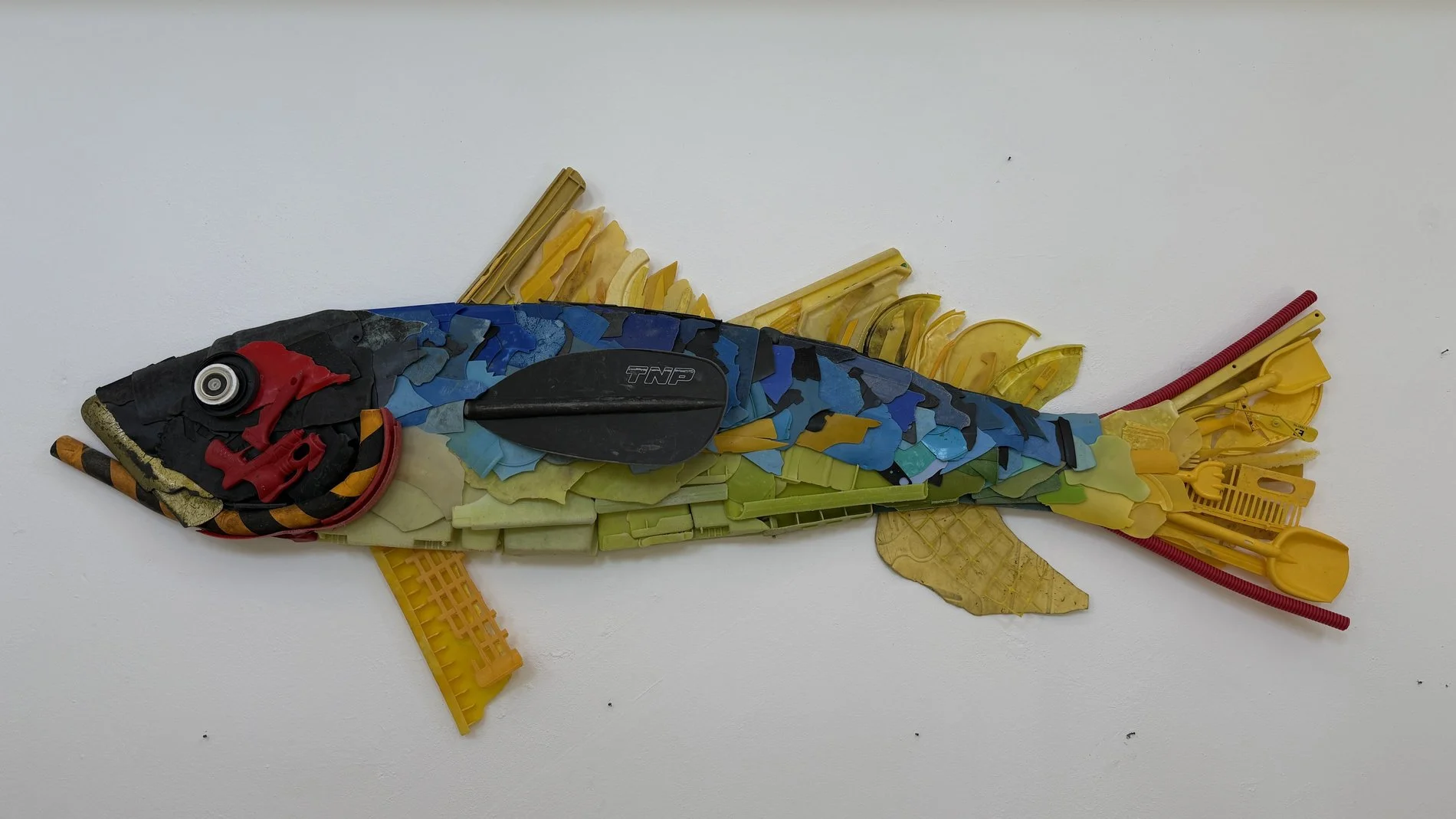 Image41.jpg