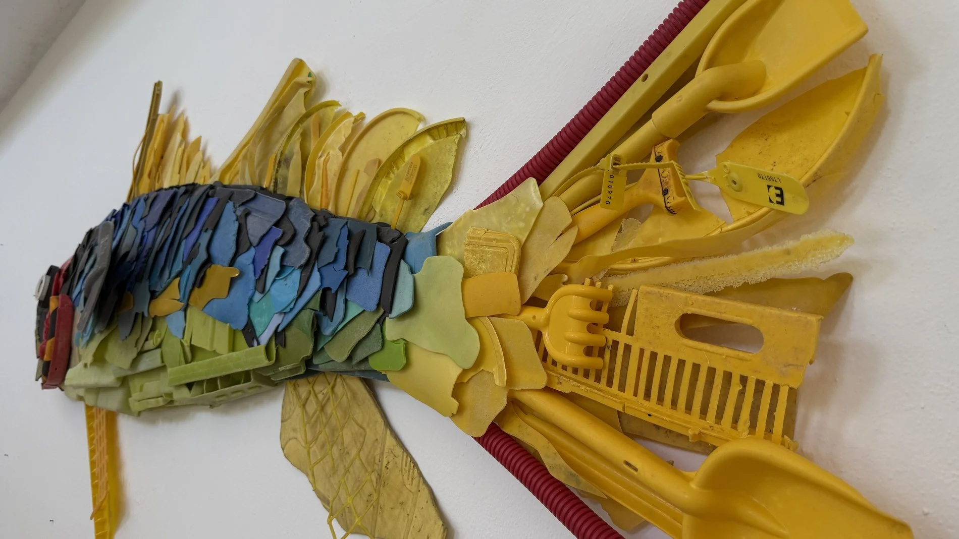 Image49.jpg
