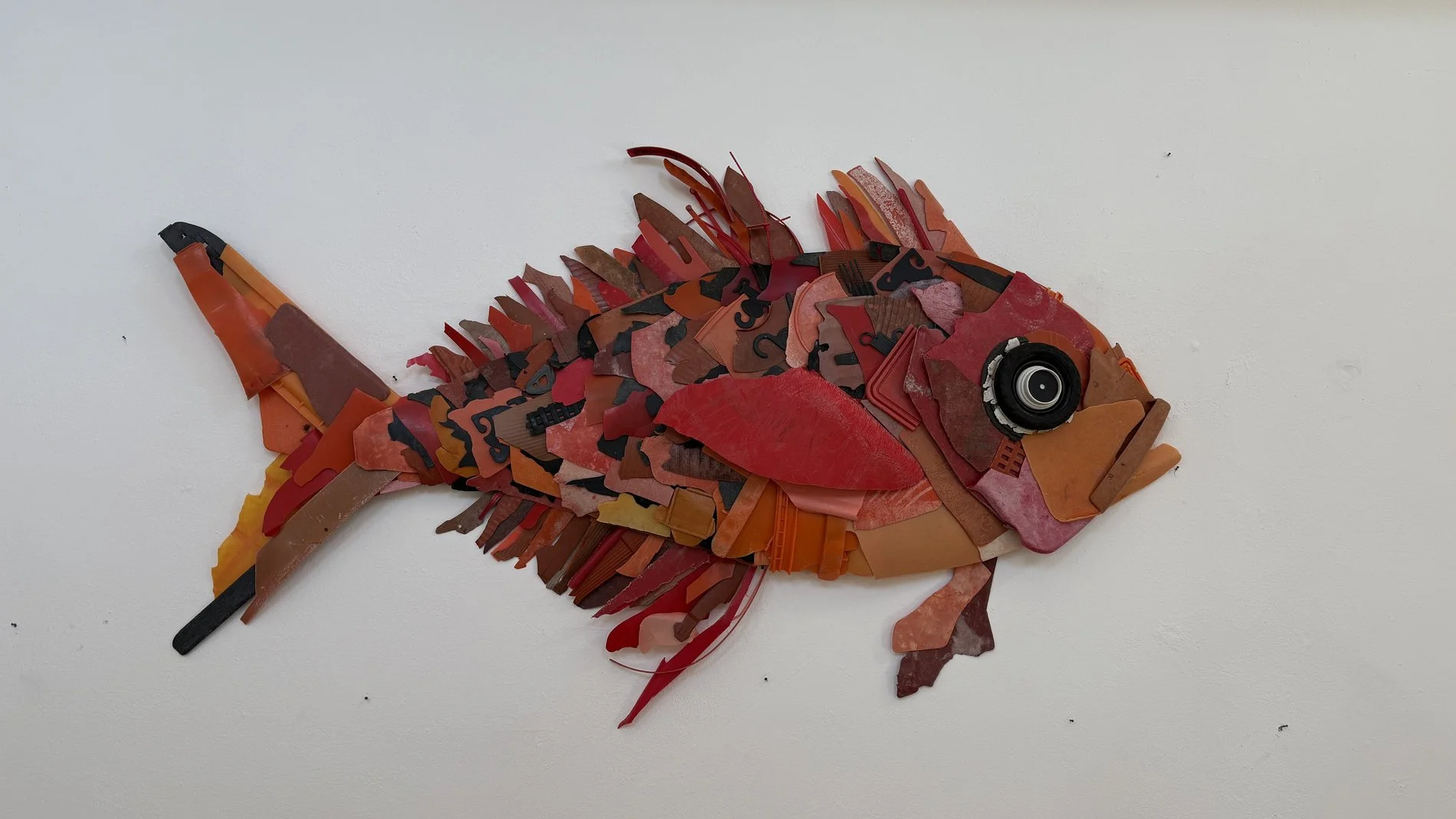 Image65.jpg