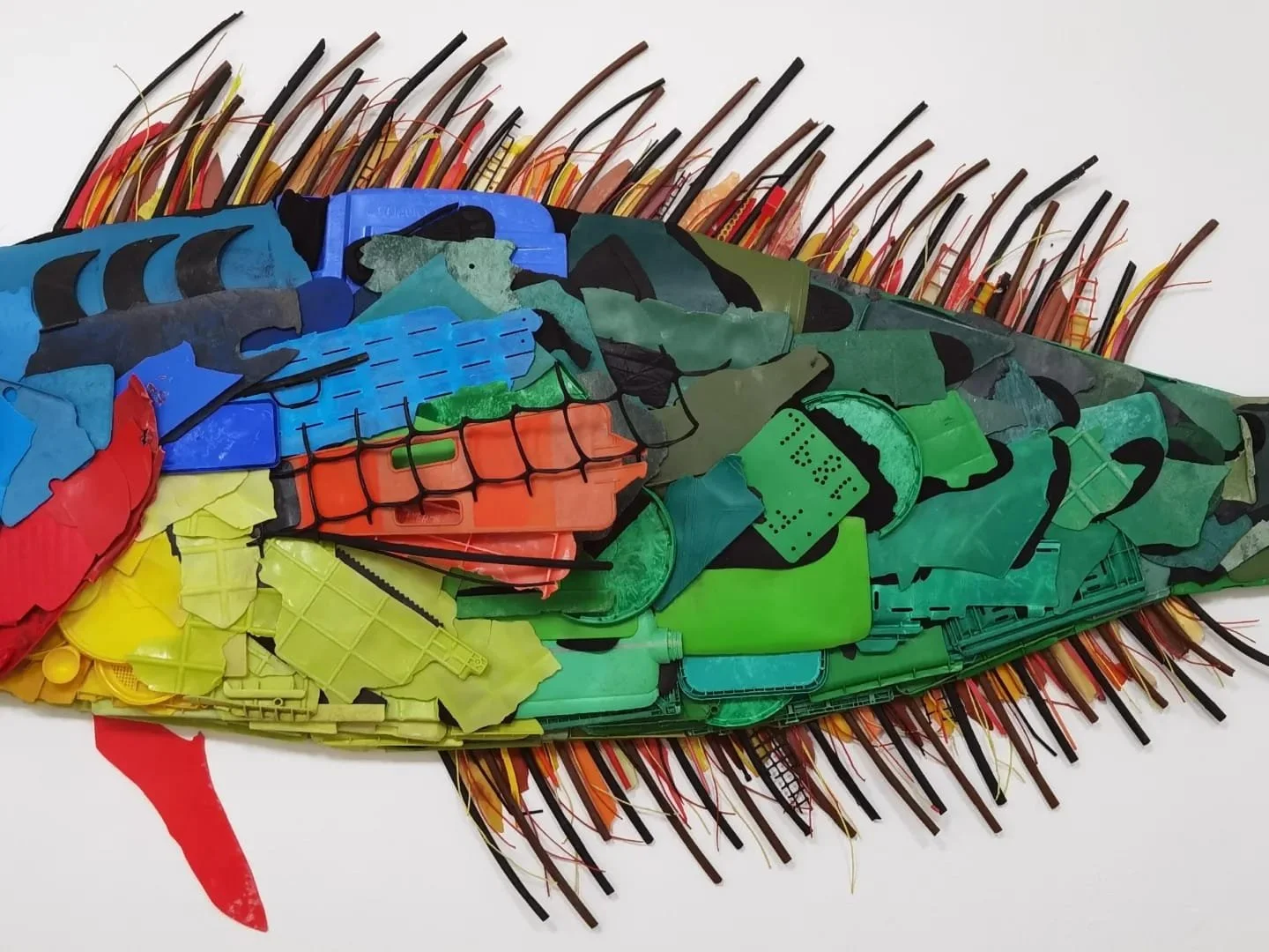 WhatsApp Image 2025-06-30 at 11.49.26 (4).jpeg