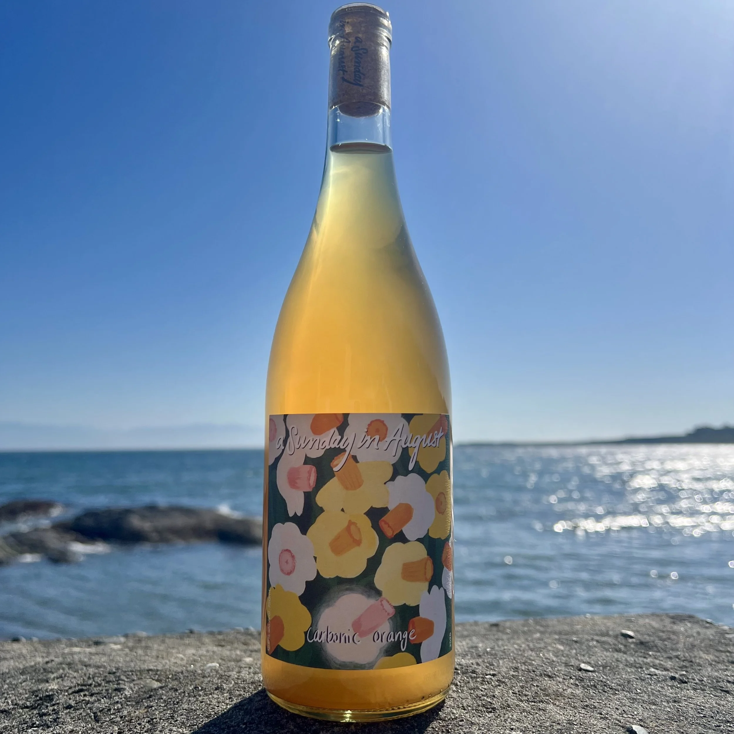 IMG_1899.jpg