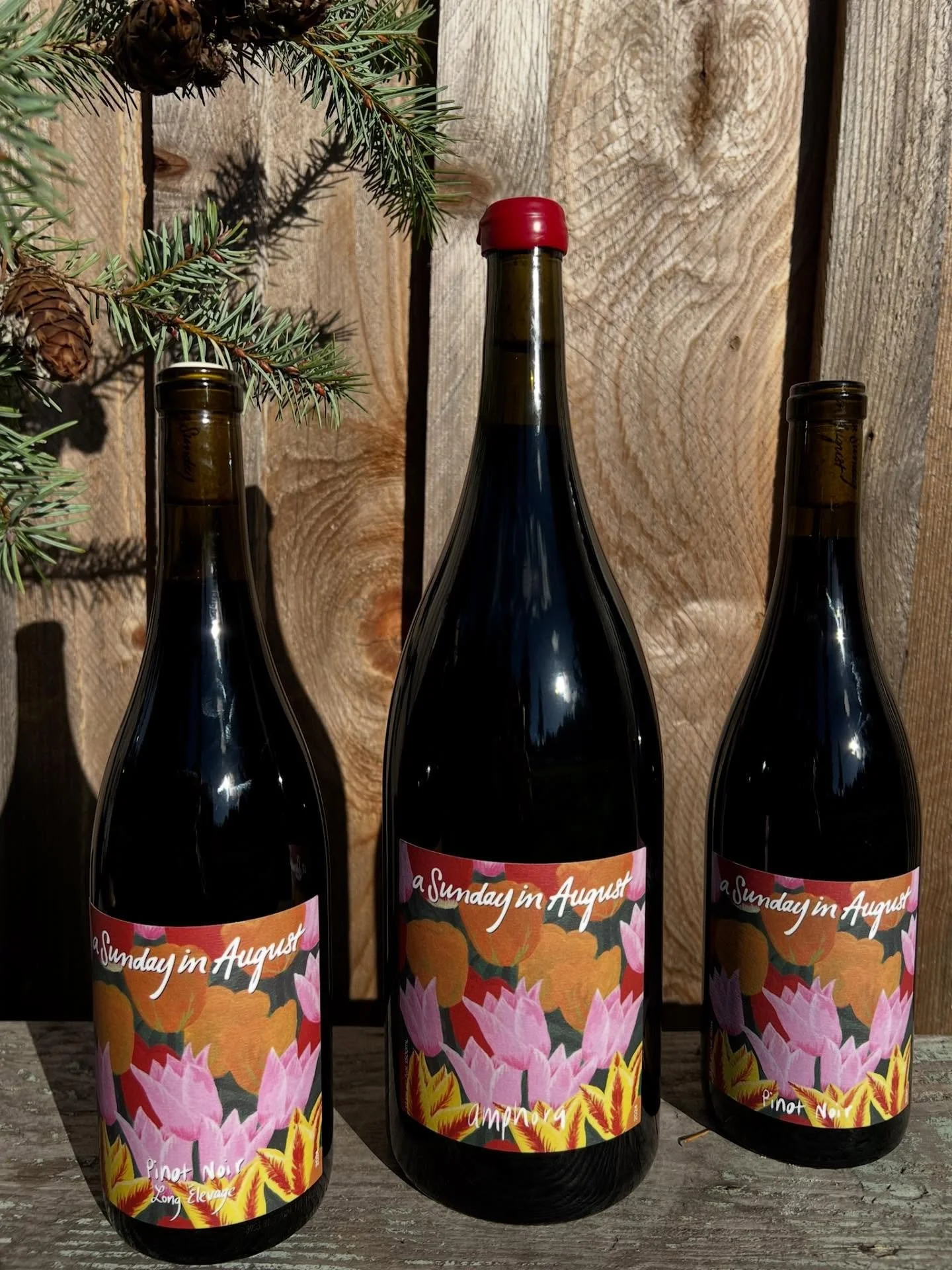 PINOT TRIO IS HERE!!! Three unique Pinot noirs made in three different ways from the same exceptional grapes from @johanvineyards  in 2024. 

AMPHORA - our first magnum release. Pinot noir aged in amphora for 6 months and then aged in tank and bottle