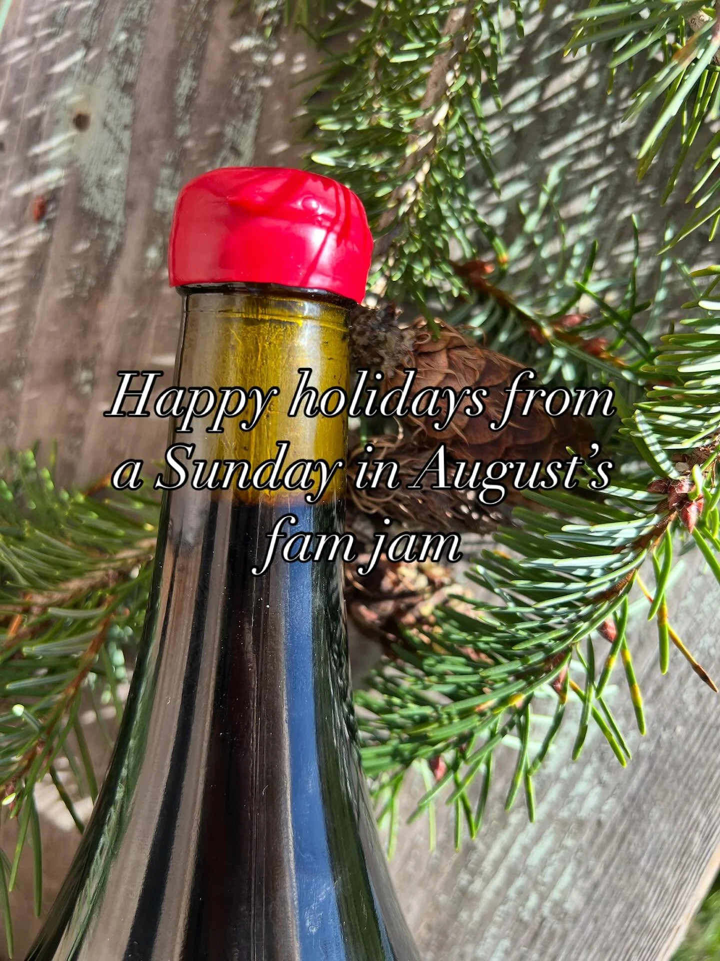 Happy holidays!! Thank you for all the love &amp; support this year &hearts;️🍷🥂 Stay safe and cozy out there, friends. We love you! 🥰 

Hope you&rsquo;re enjoying some yummy a Sunday in August wines this season with loved ones. 

Needing a last-mi