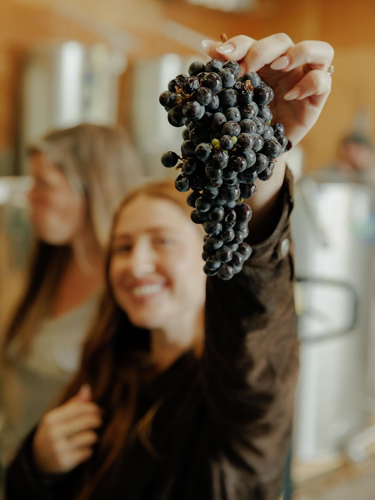 Happy Valentines Day weekend natural wine lovers! &hearts;️🍷🫶 We ❤️ you! Thank you for all of your love and support. 

📸 by @taylormichaelburk of fermenting whole cluster organic grapes on a @bynaturalfreedom tour and tasting at our winery and vin