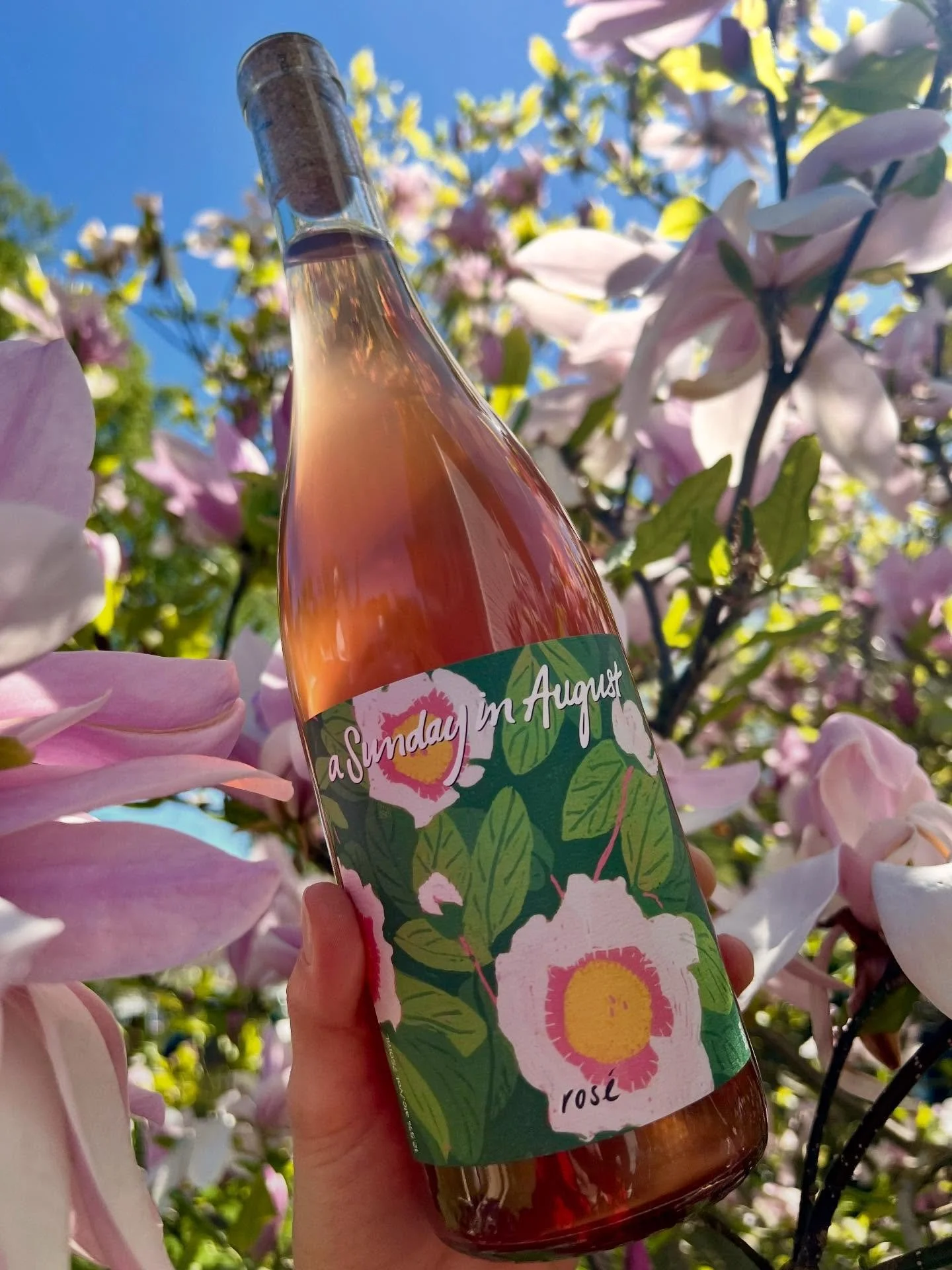 Brand new Ros&eacute; 2025 out! 🌅😍🍷🌸

Winemakers notes: Made with organic Okanagan BC fruit&mdash;Pinot Noir with a splash of Riesling &amp; Pinot Blanc for a boost of acidity. One-day of skin contact for ros&eacute; colour &amp; good vibes befor