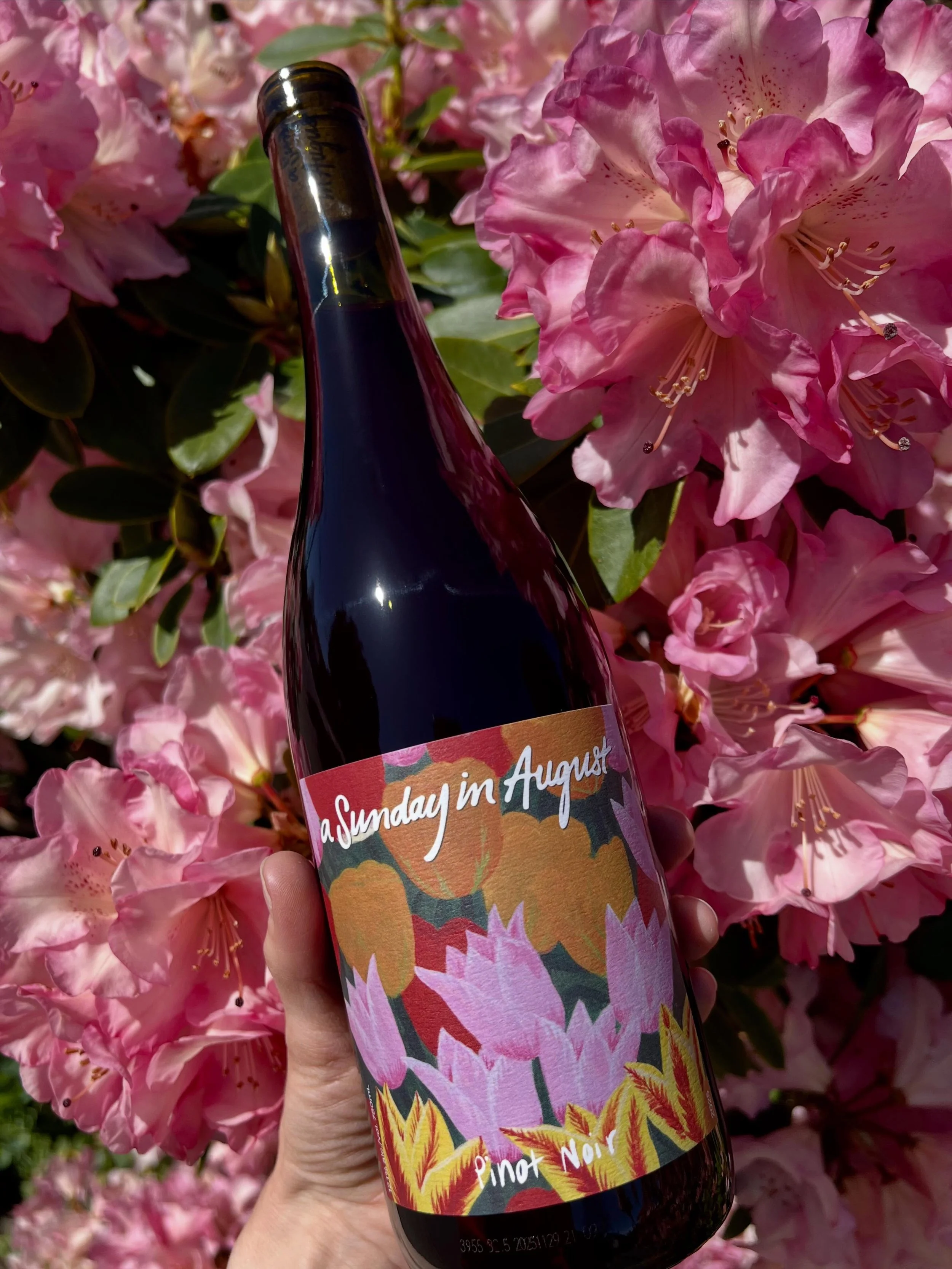 Pinot Noir 2025 🍷 Single vineyard, old vine, organically grown Pinot Noir from Okanagan Falls, BC. Light in colour but bold and concentrated fruity minerality on the palate.

Winemaking: 

🍇25% whole cluster carbonic maceration (no oxygen in the ta
