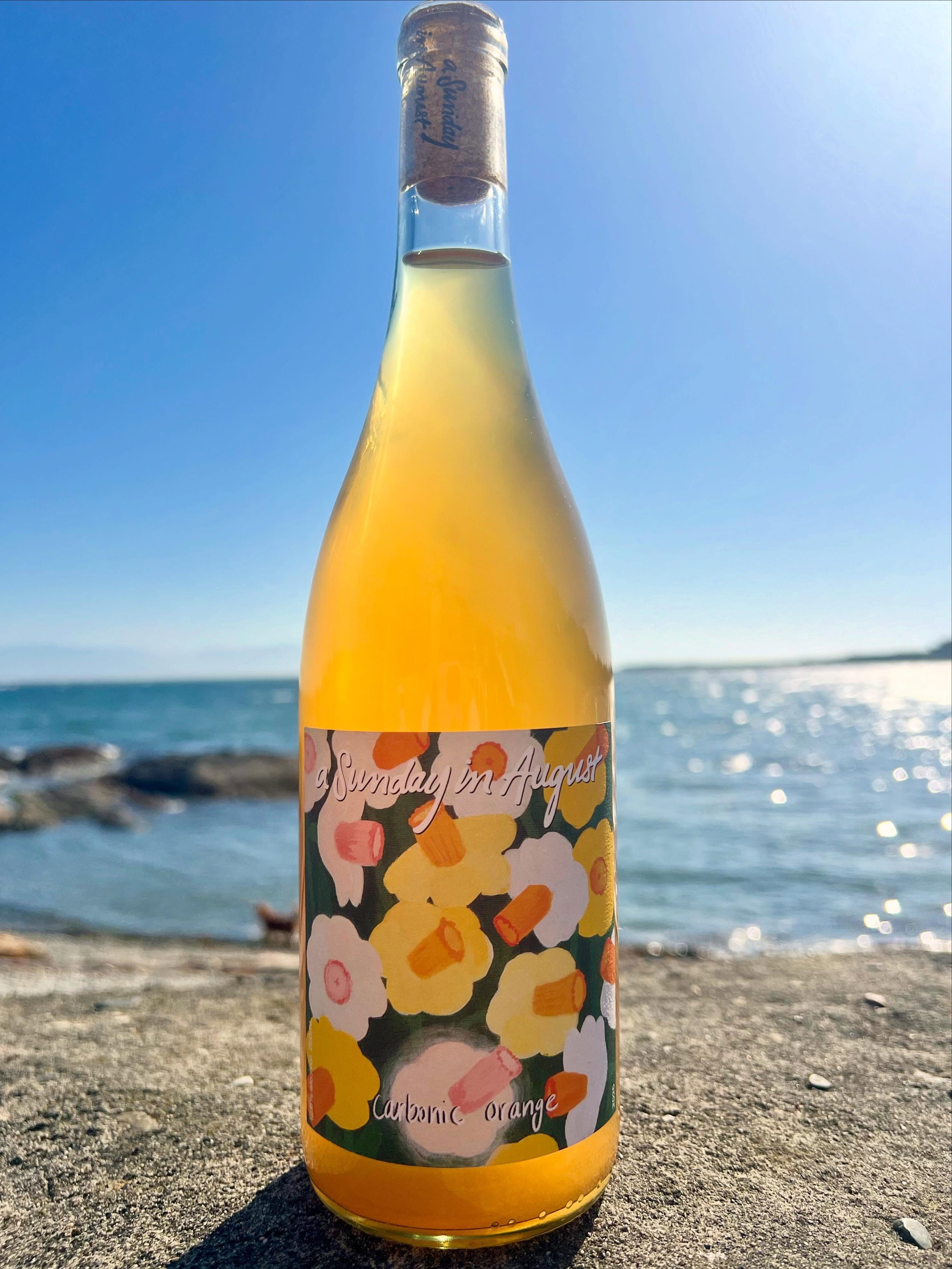🍊Carbonic Orange 2025 💥 coming in hot ❤️&zwj;🔥🧯

She&rsquo;s a juicy tangerine dream 🧡🍑🍊&mdash;one of our best selling natty summer wines by far. This years Carbonic Orange is a party blend of organic Gewurztraminer, Riesling, Muscat &amp; Sie