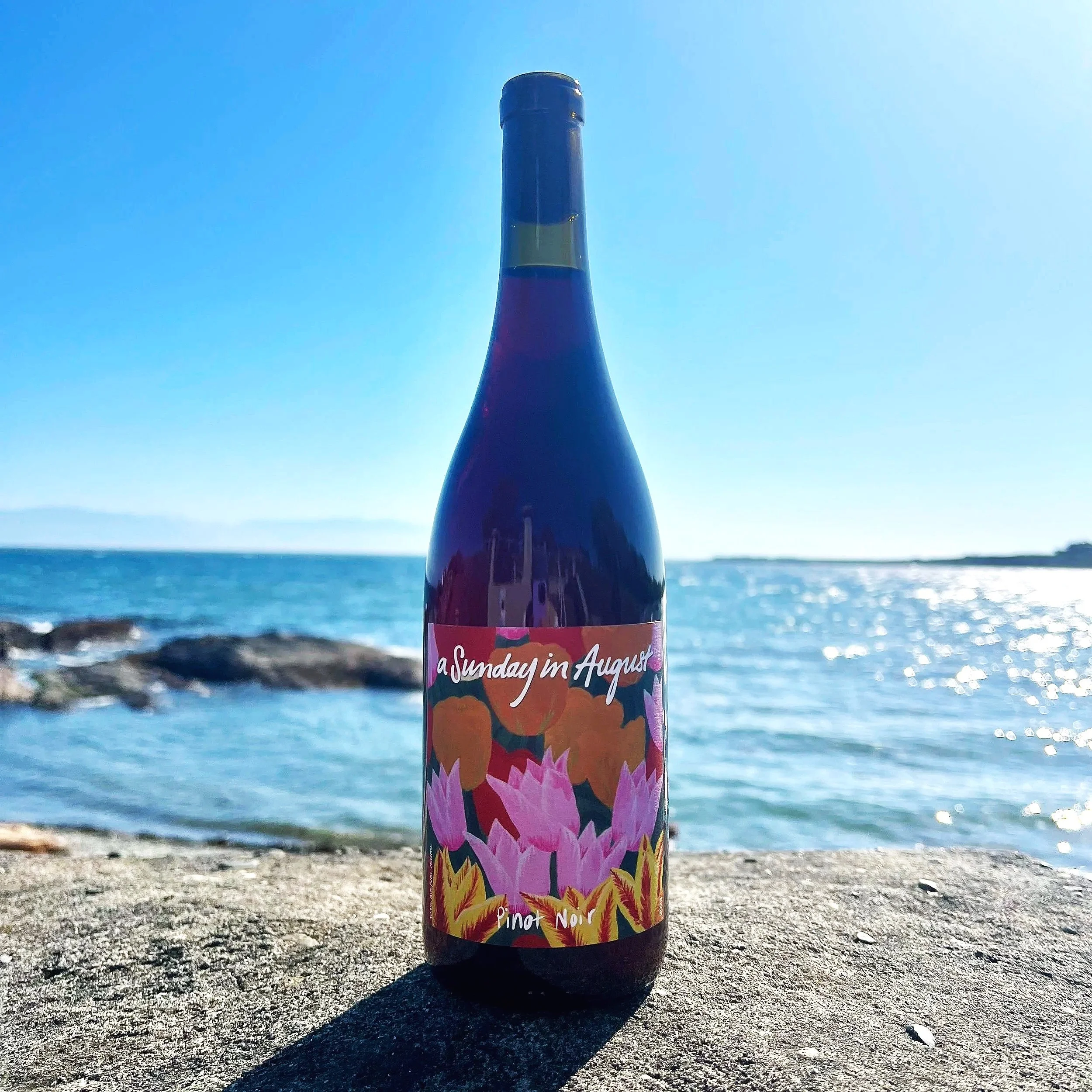 LILYPOND PINOT NOIR 2025