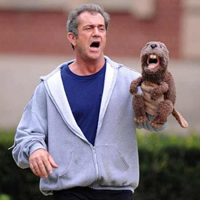 Mel Gibson