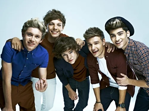 iall Horan Liam Payne Harry Styles Niall Horan, Zayn Malik, Liam Payne, Harry Styles, and Louis Tomlinson auditioned as solo candidates for the seventh series of the British Louis Tomlinson Past members Zayn Malik