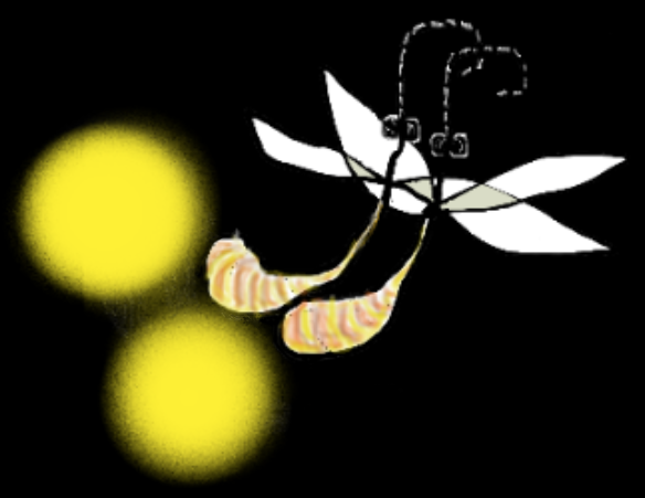 WffD.png
