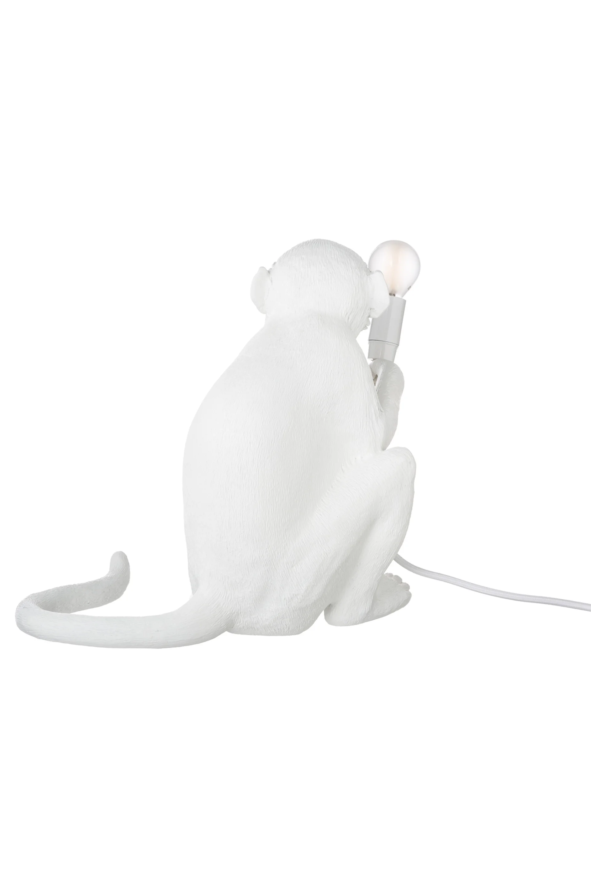 monkeylampsittingbehind.jpg