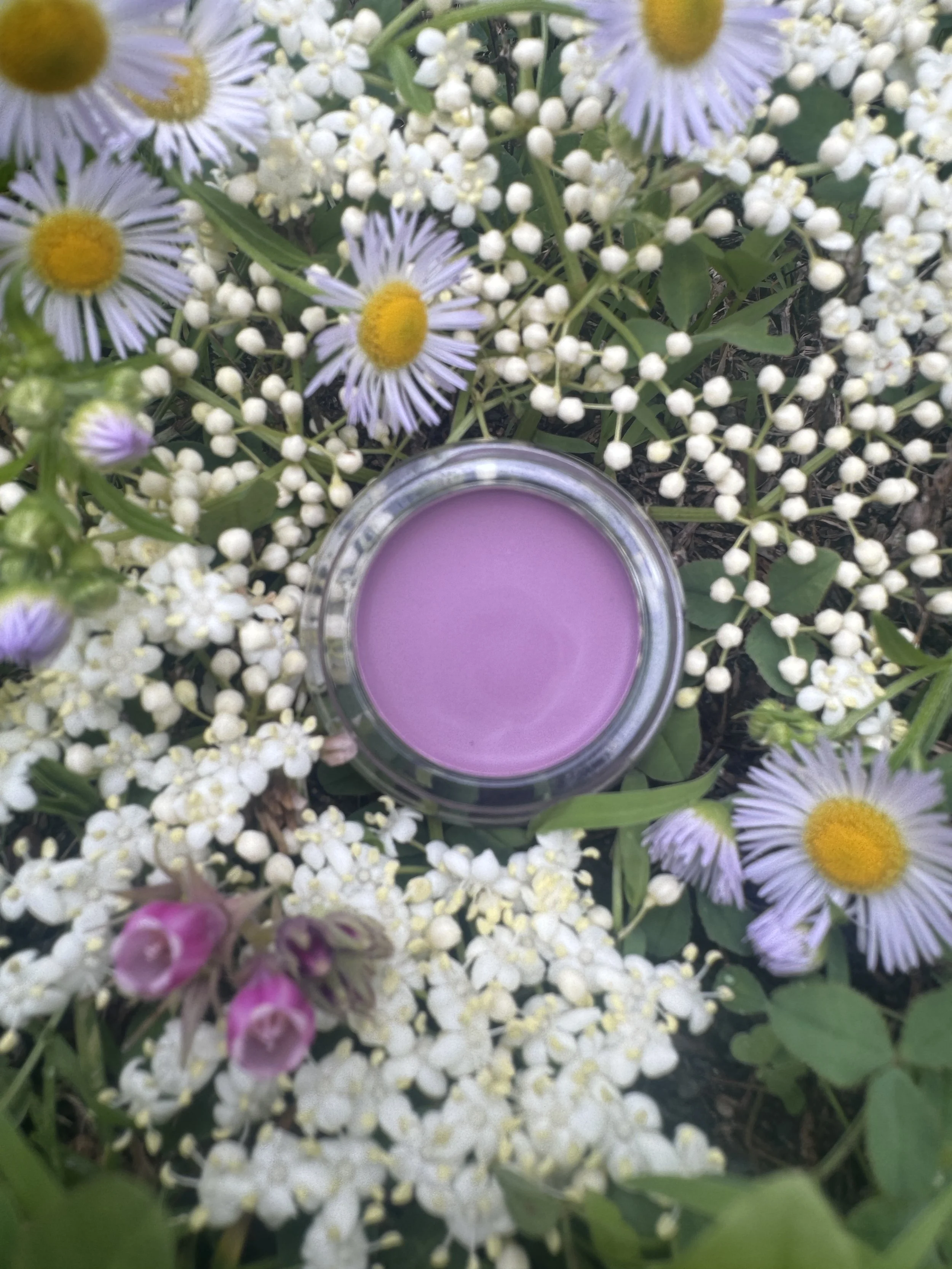 Fairy Ring Limited Batch Makeup Collection