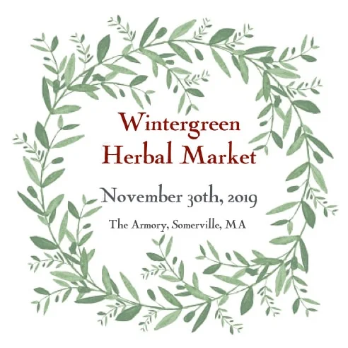 Herbstalk Wintergreen
